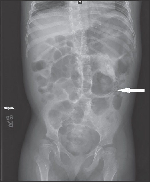 FIGURE 1.