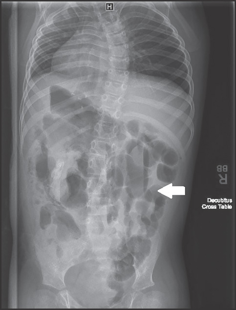 FIGURE 2.