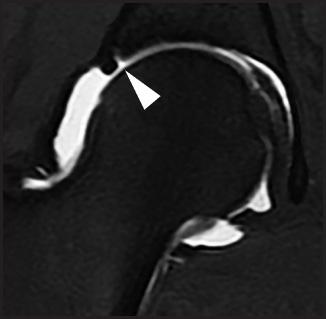 FIGURE 1.