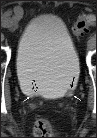 FIGURE 7.