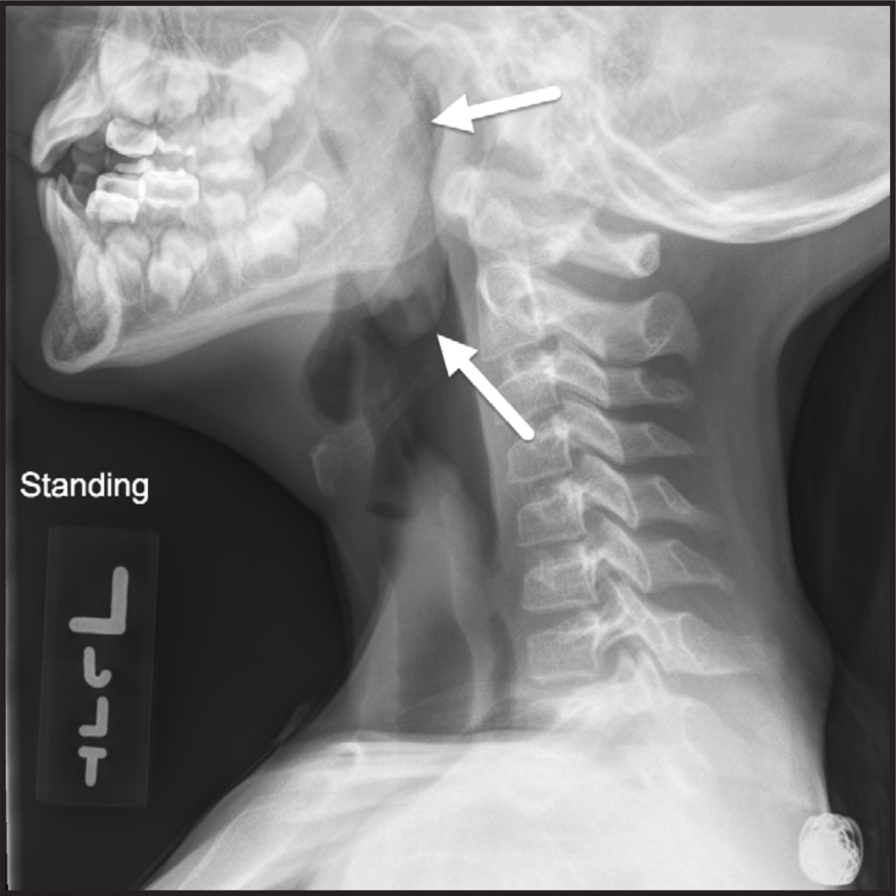 FIGURE 1.