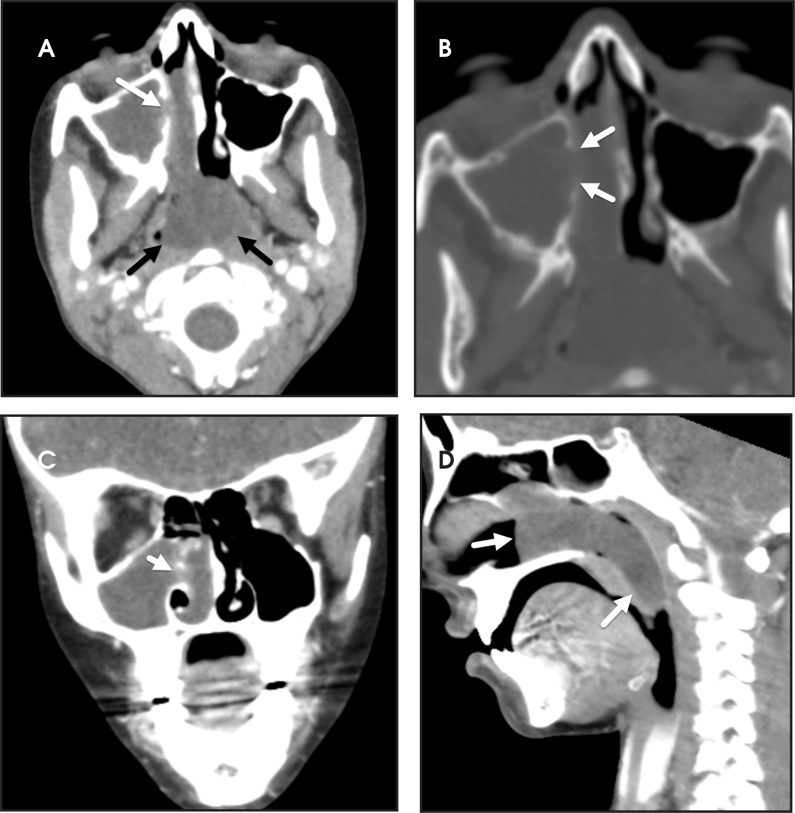 FIGURE 2.