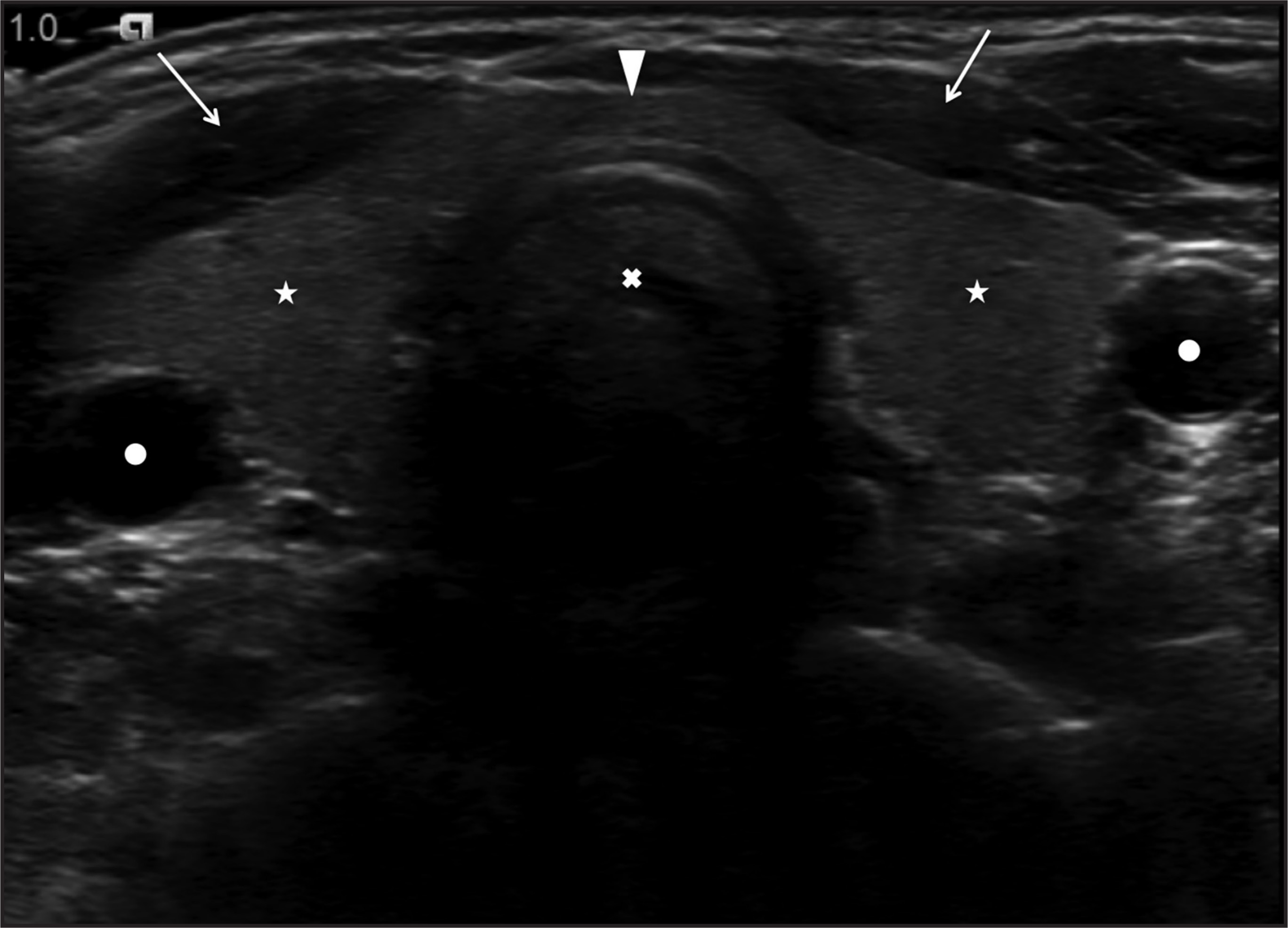 FIGURE 1.