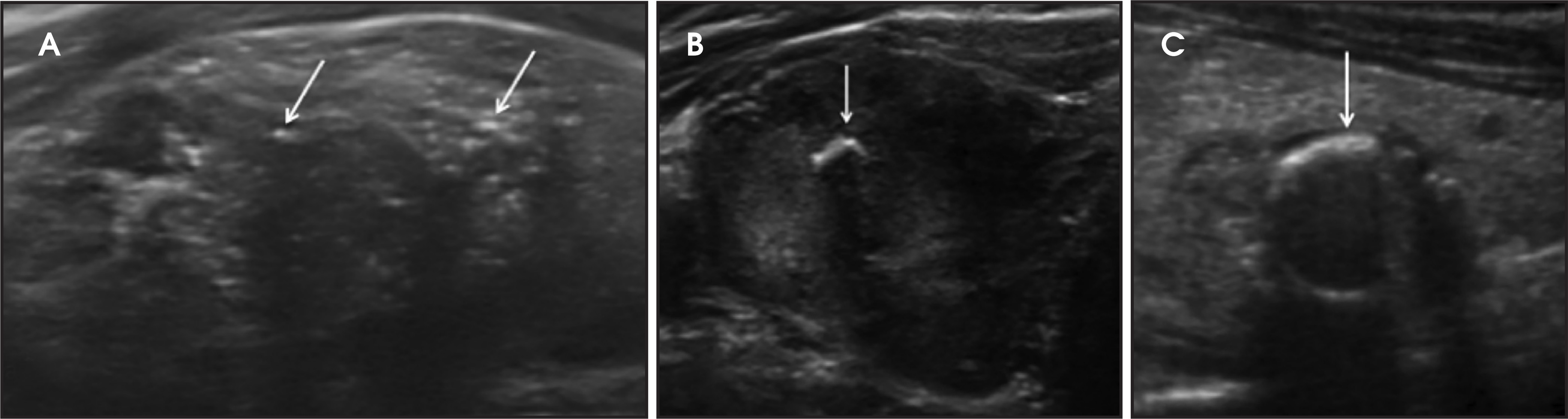 FIGURE 7.