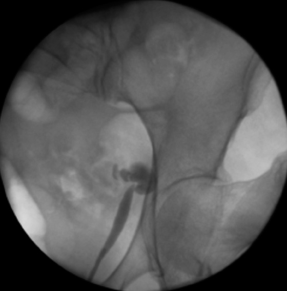FIGURE 2.