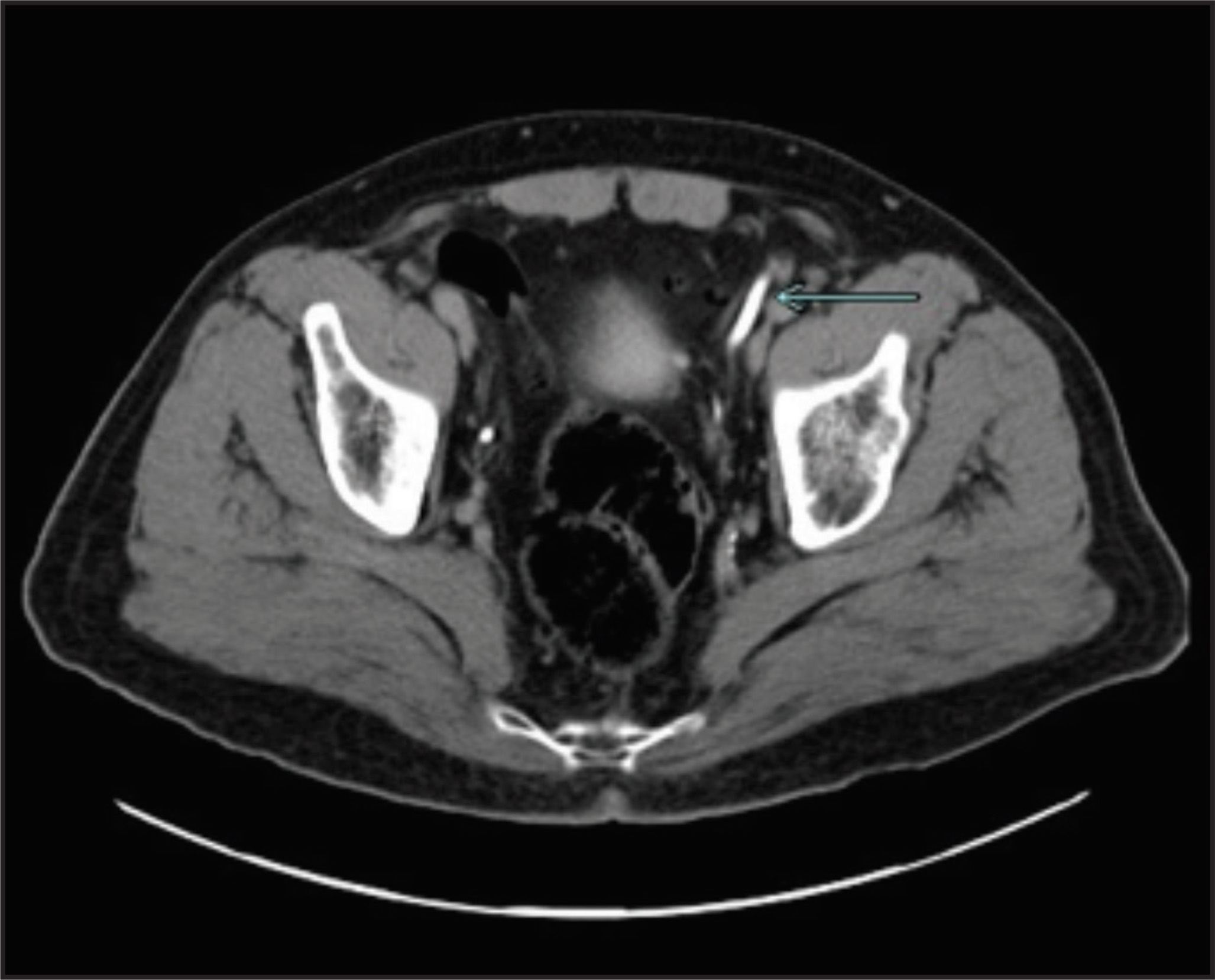 FIGURE 1.