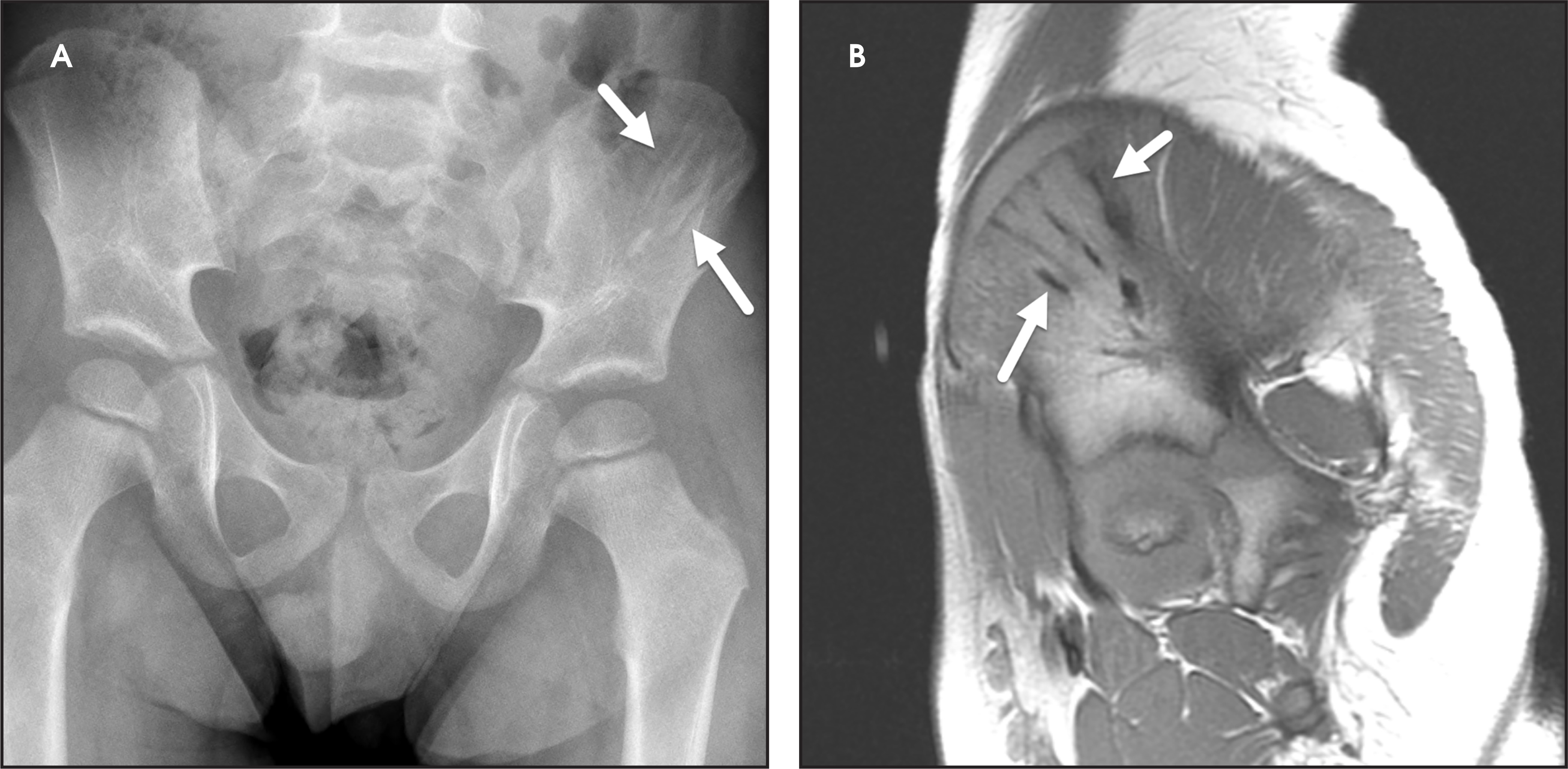 FIGURE 1.