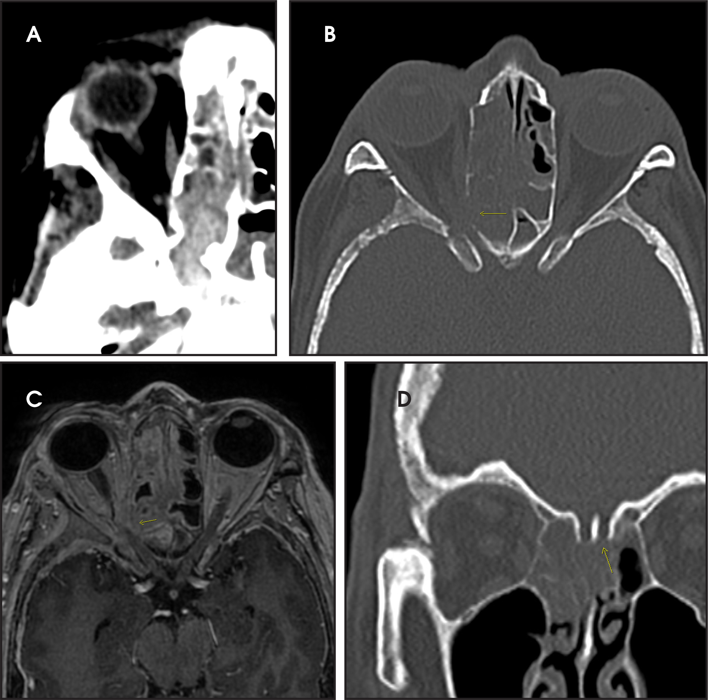 FIGURE 1.