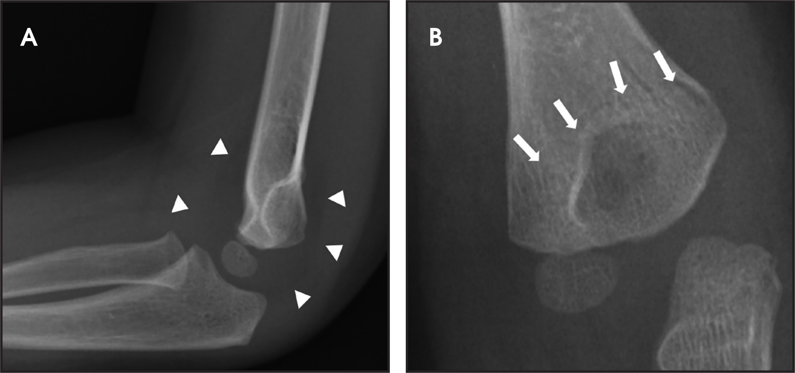 FIGURE 1.
