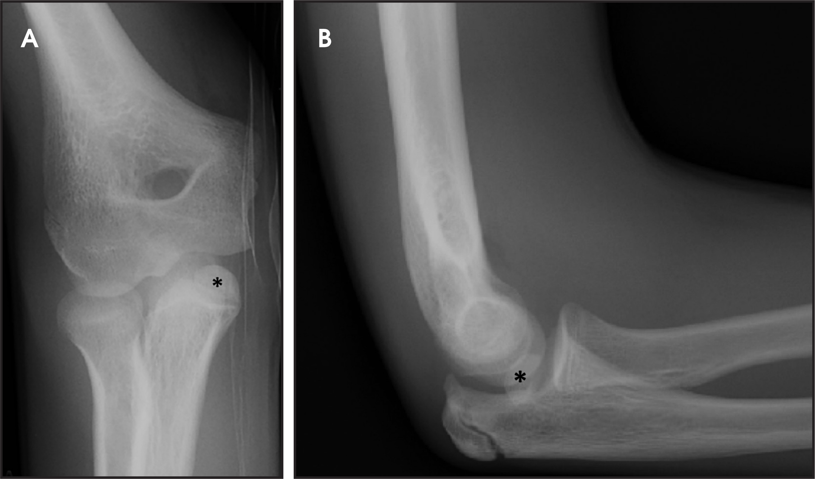 FIGURE 2.