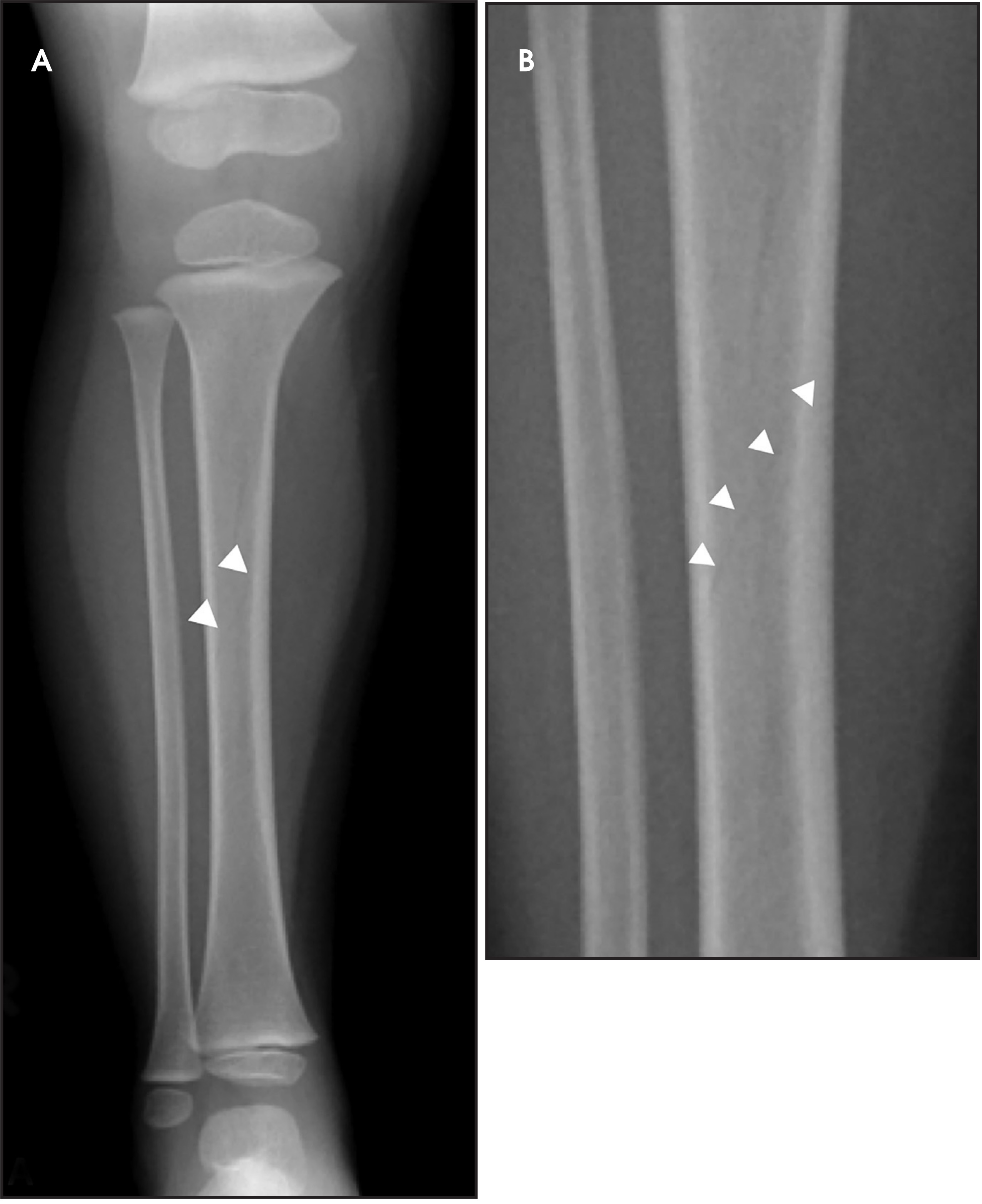 FIGURE 10.