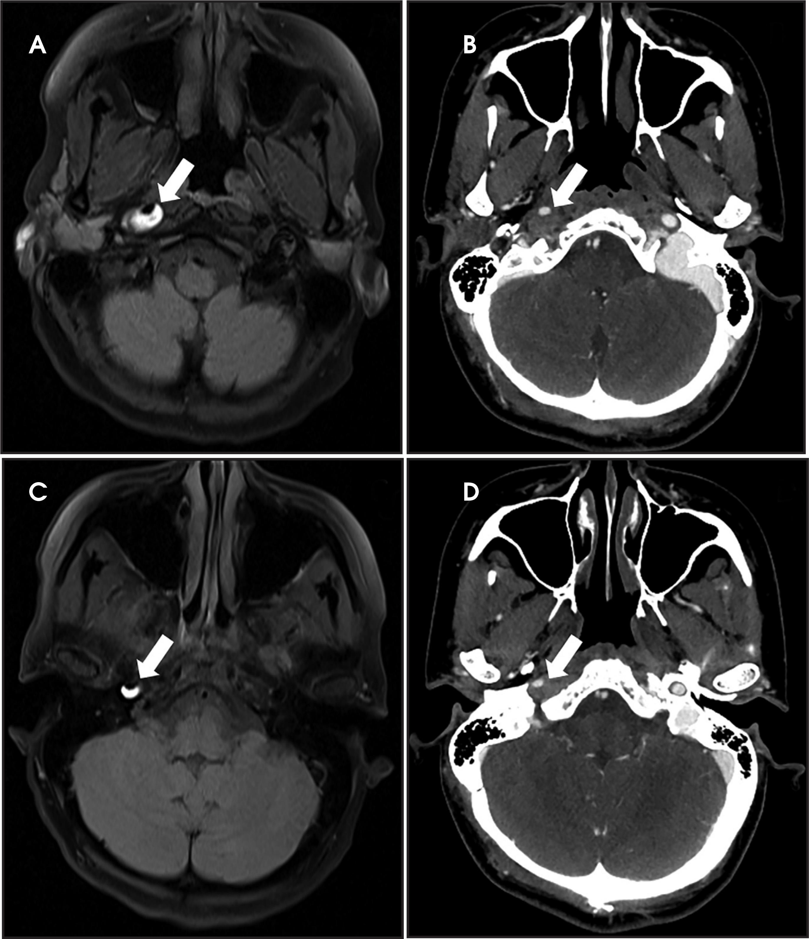 FIGURE 1.