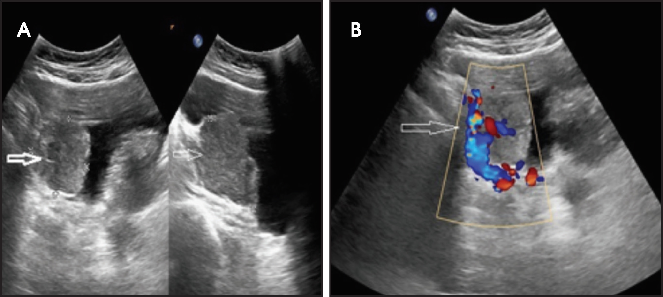 FIGURE 1.