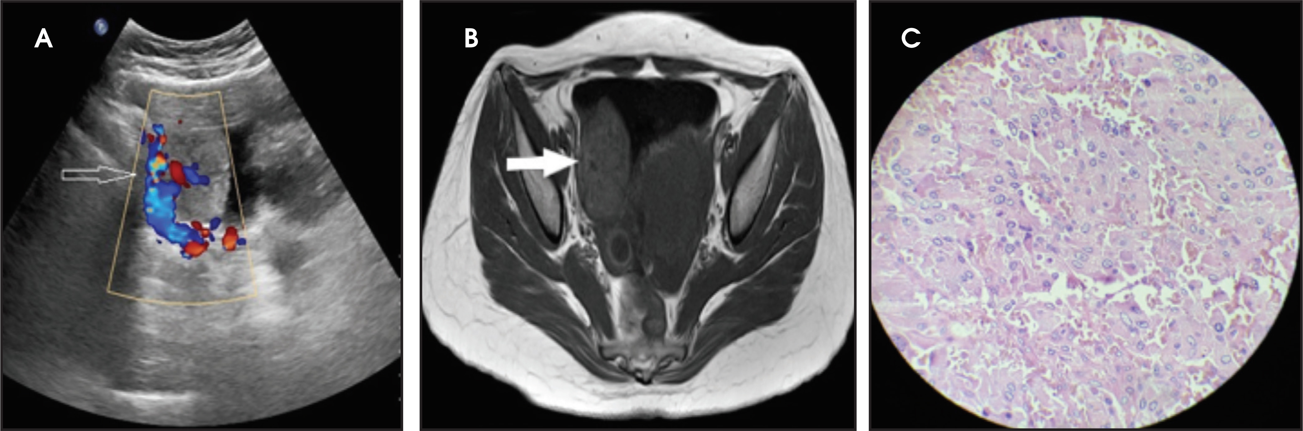 FIGURE 4.