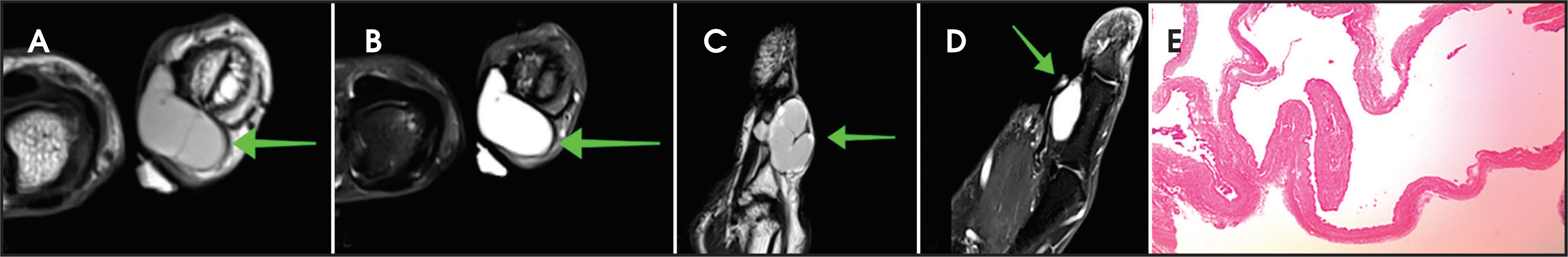 FIGURE 12.