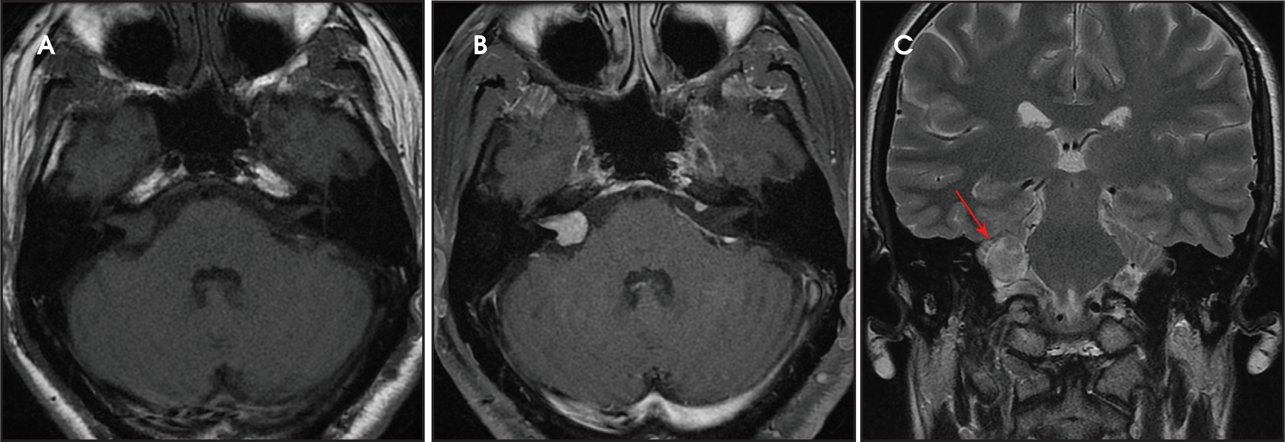 FIGURE 1.