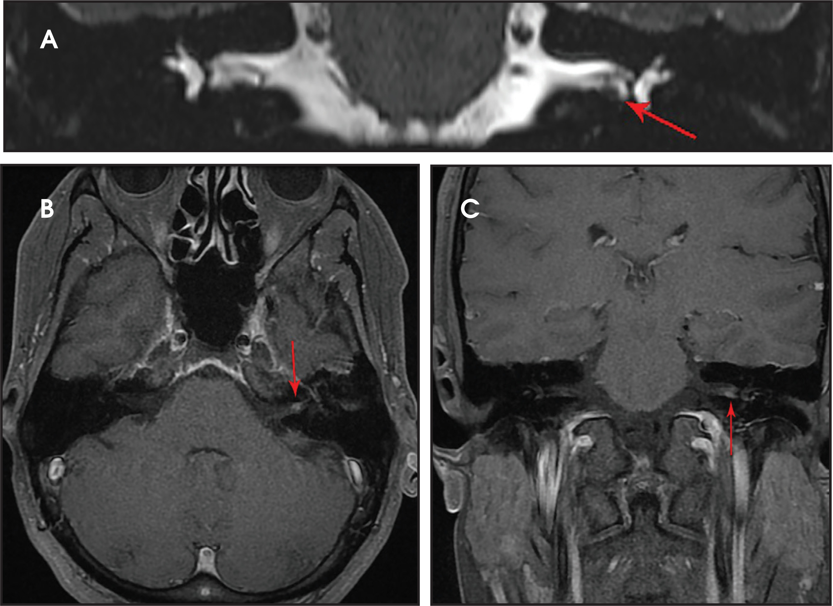 FIGURE 4.