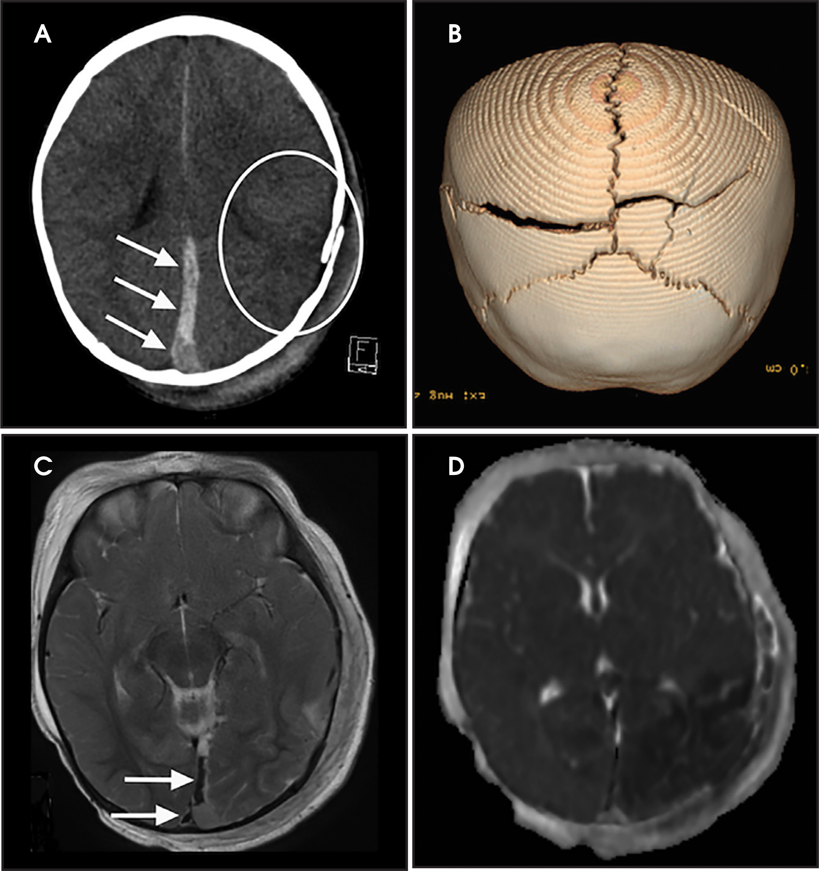 FIGURE 1.