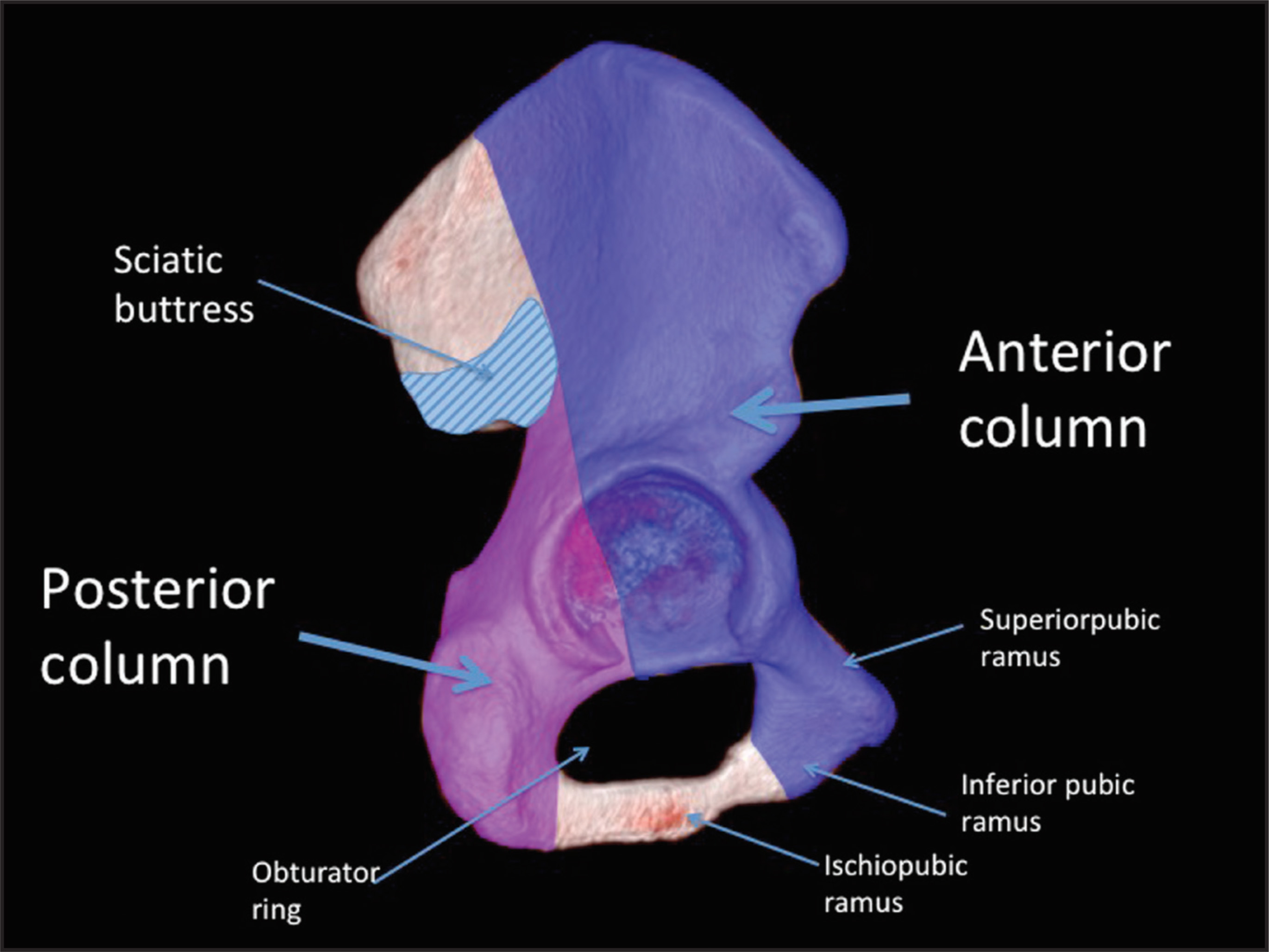 FIGURE 1.