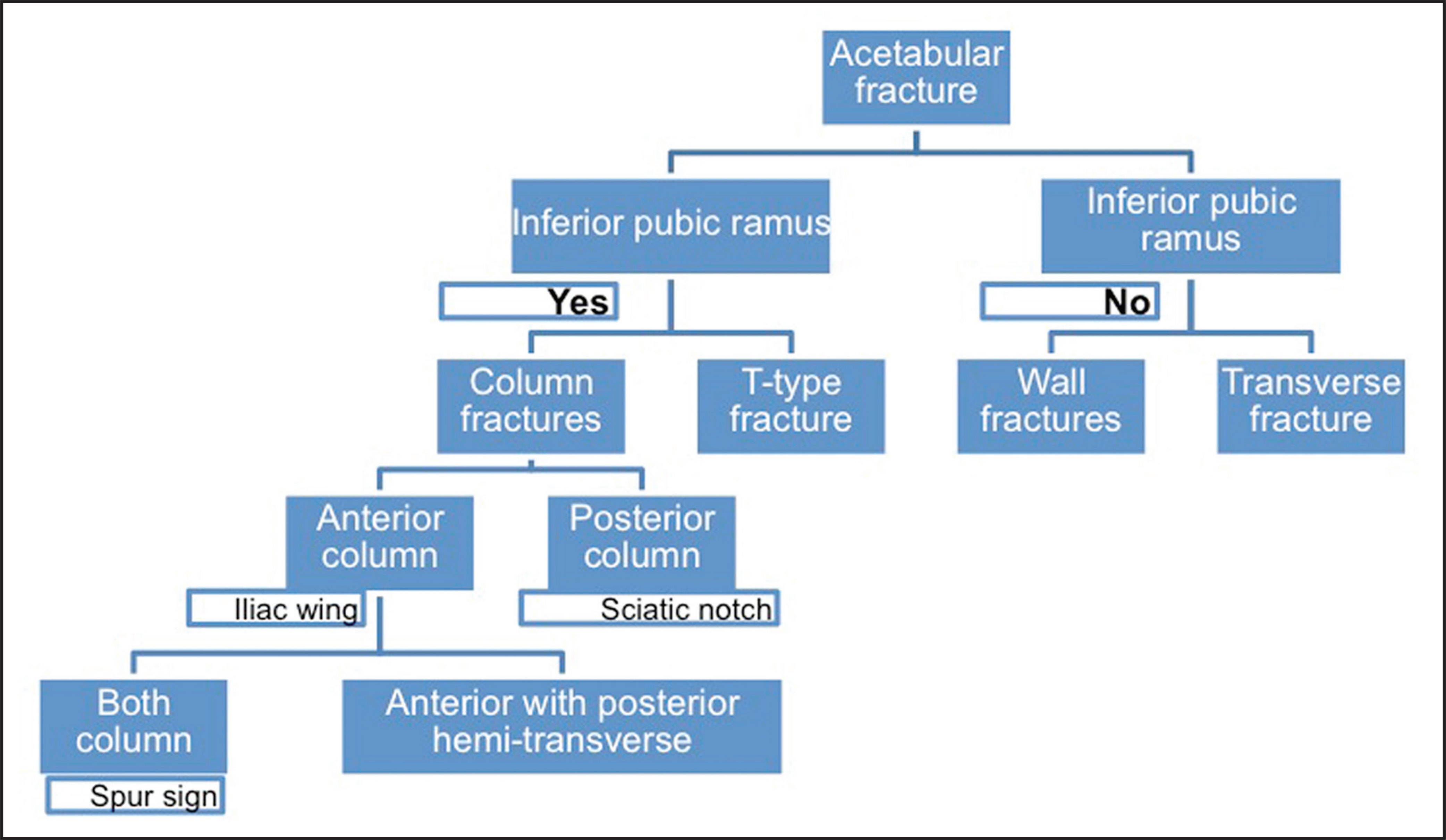 FIGURE 11.