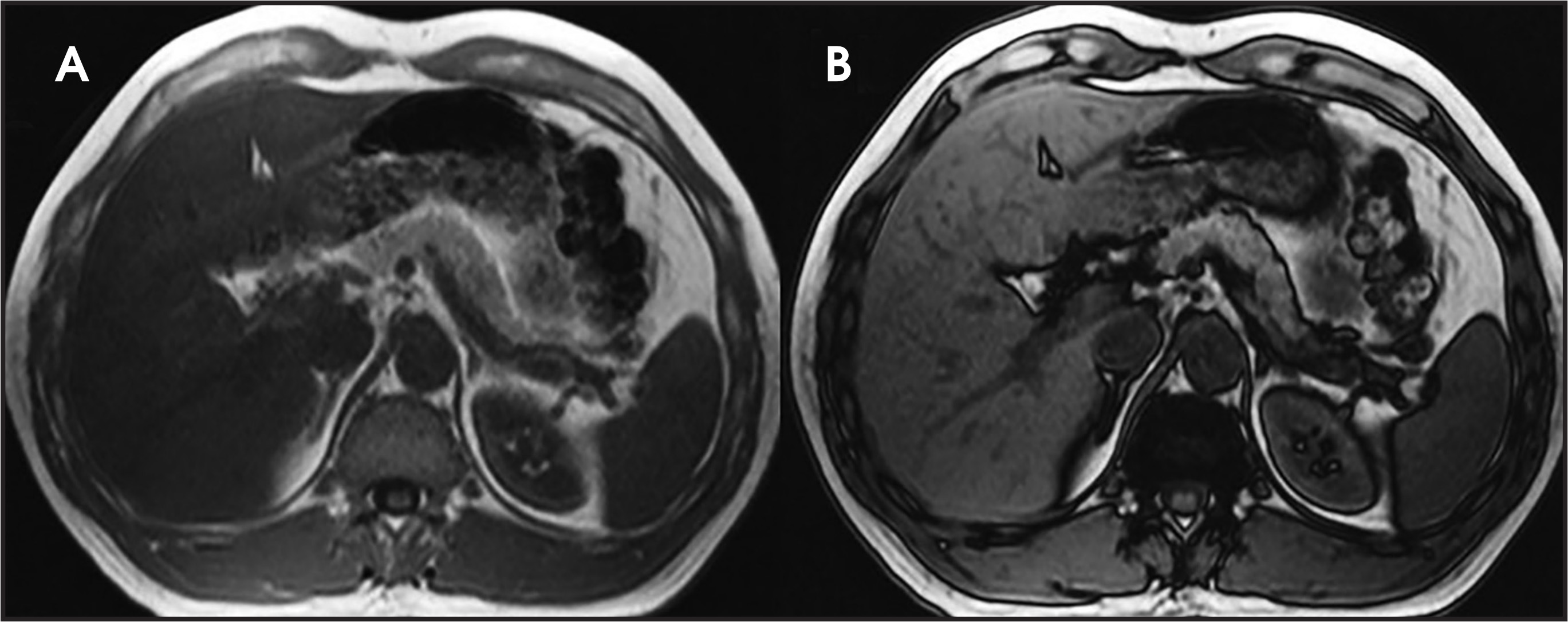FIGURE 3