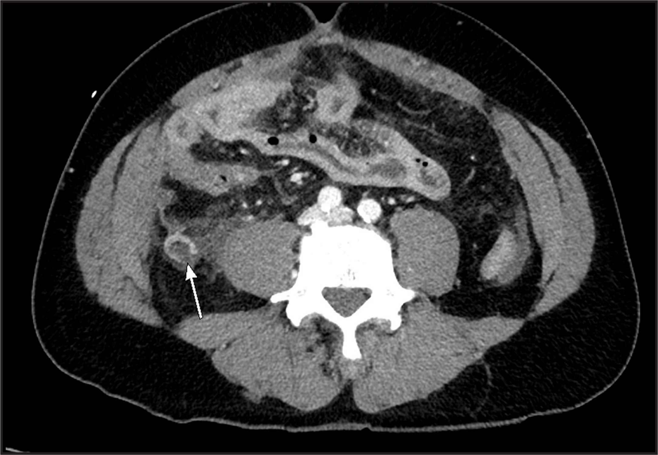 FIGURE 1.