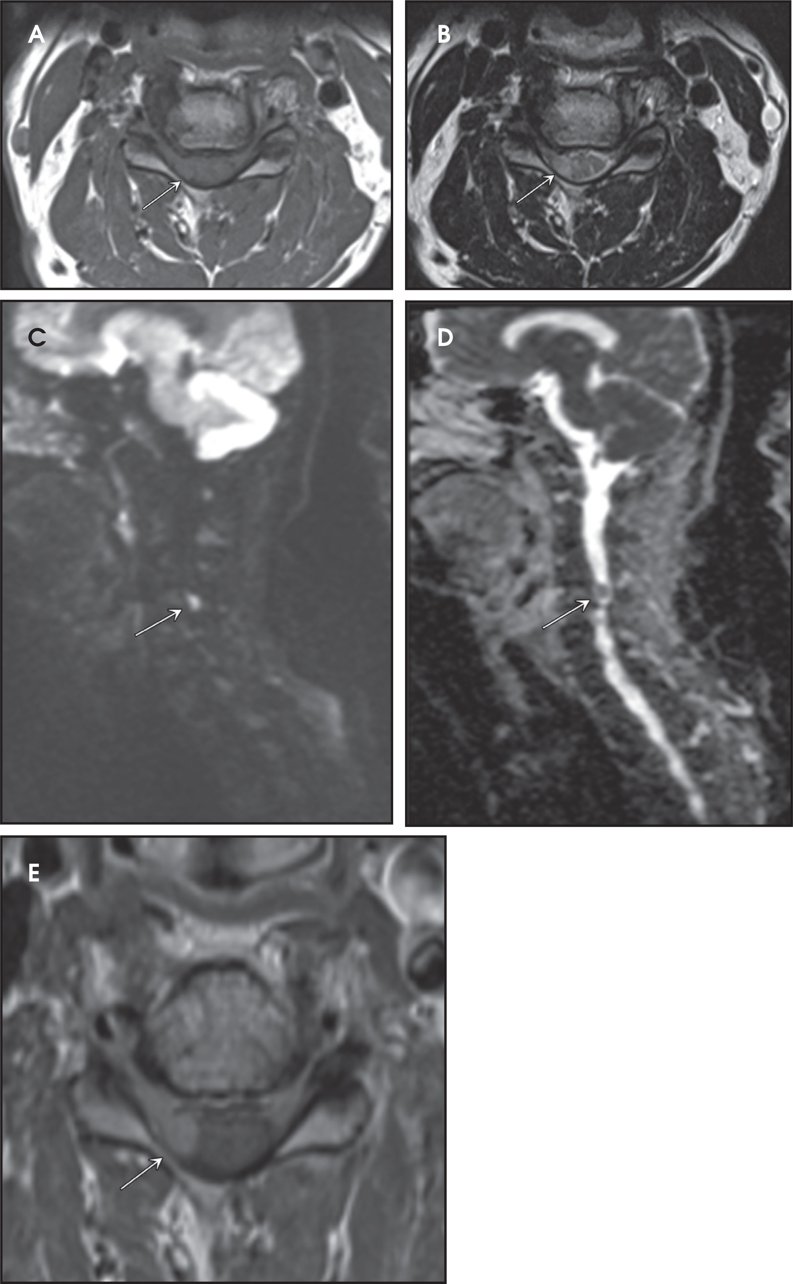 FIGURE 1.