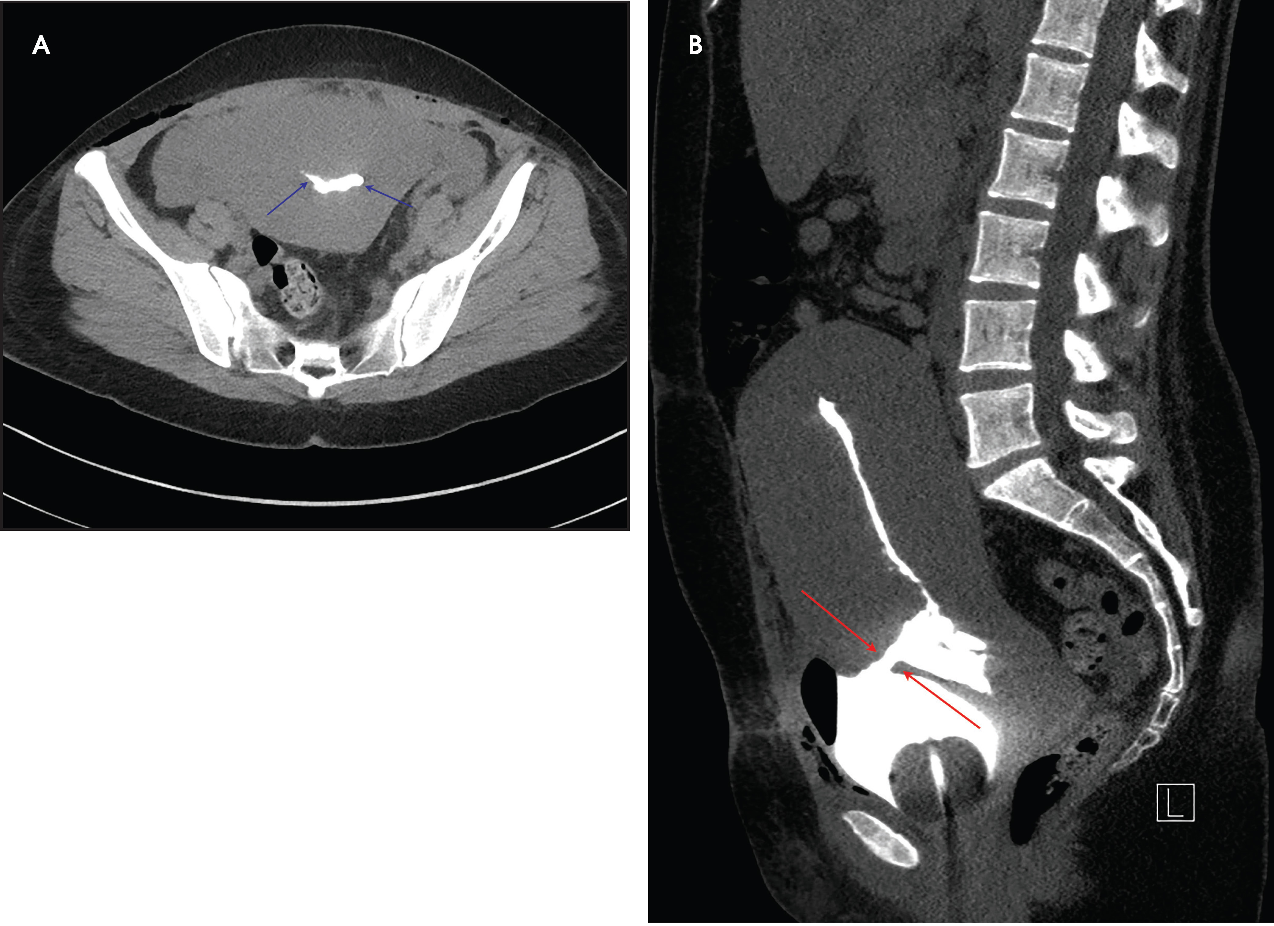 FIGURE 3.