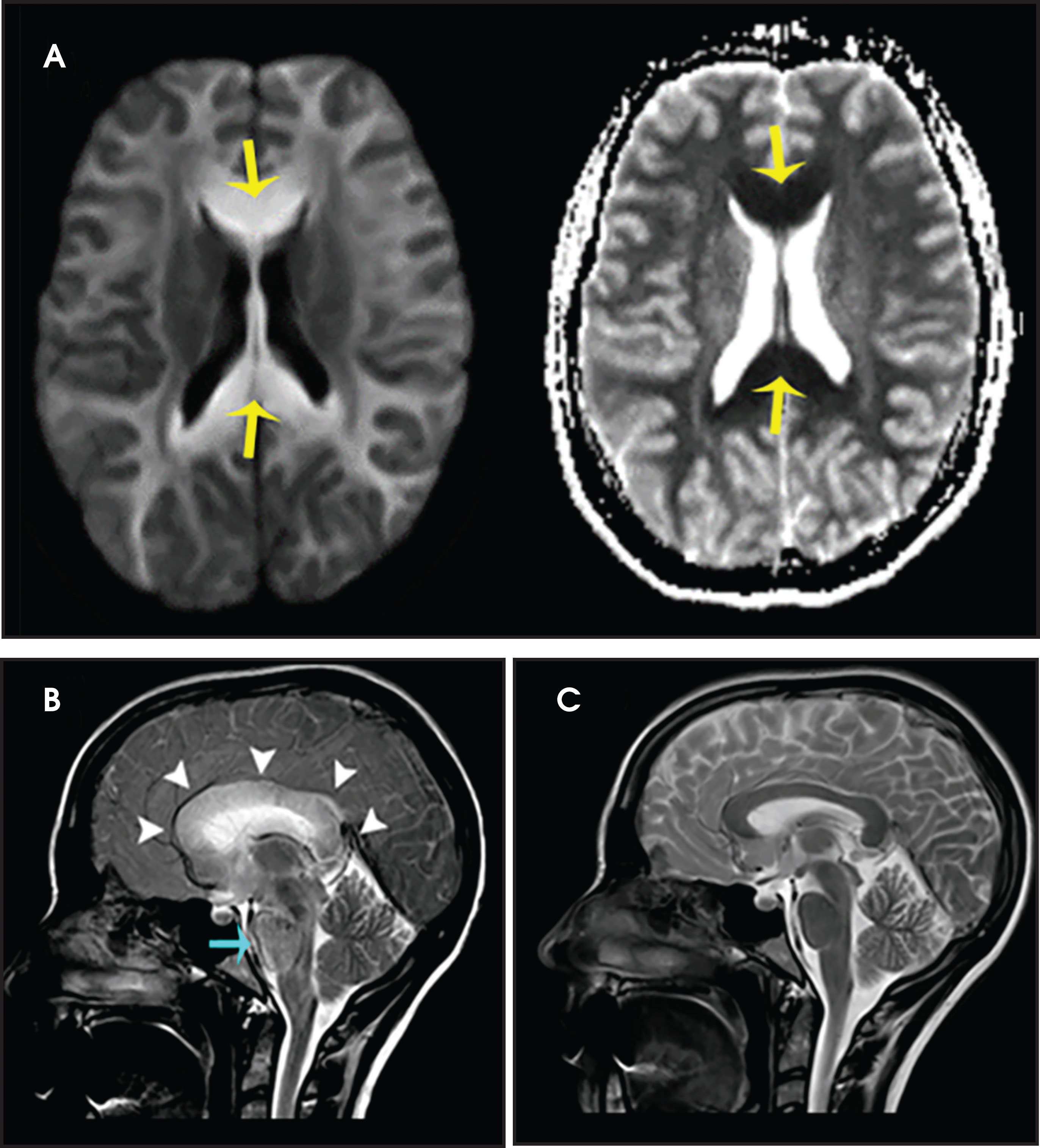 FIGURE 1.