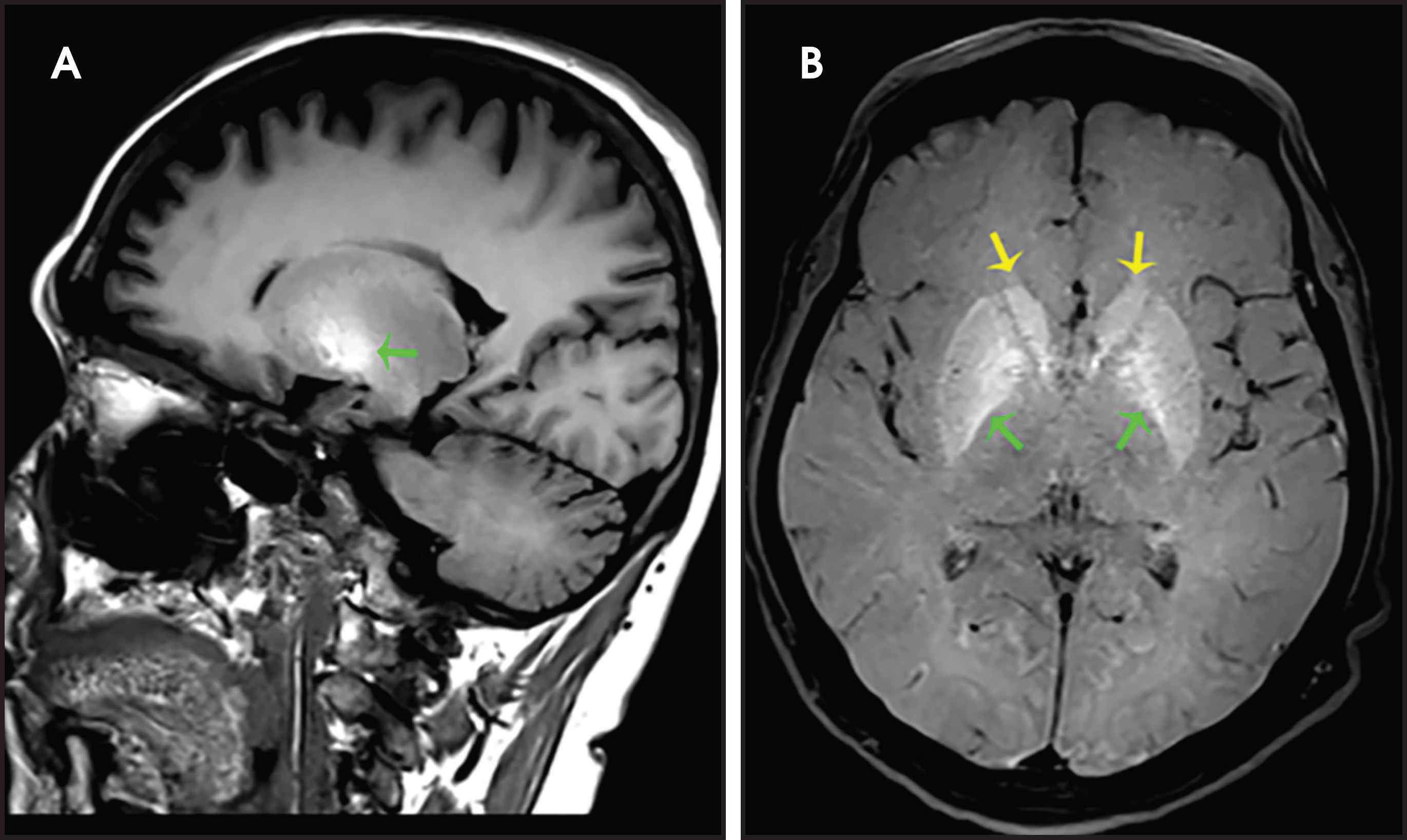 FIGURE 12.