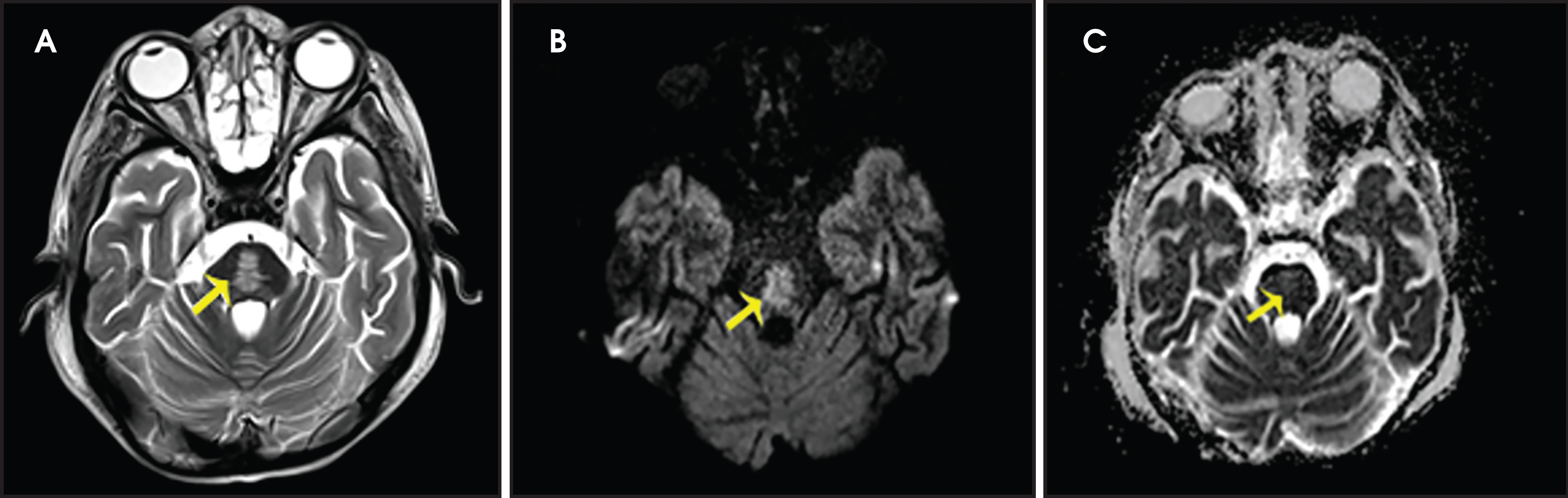 FIGURE 15.