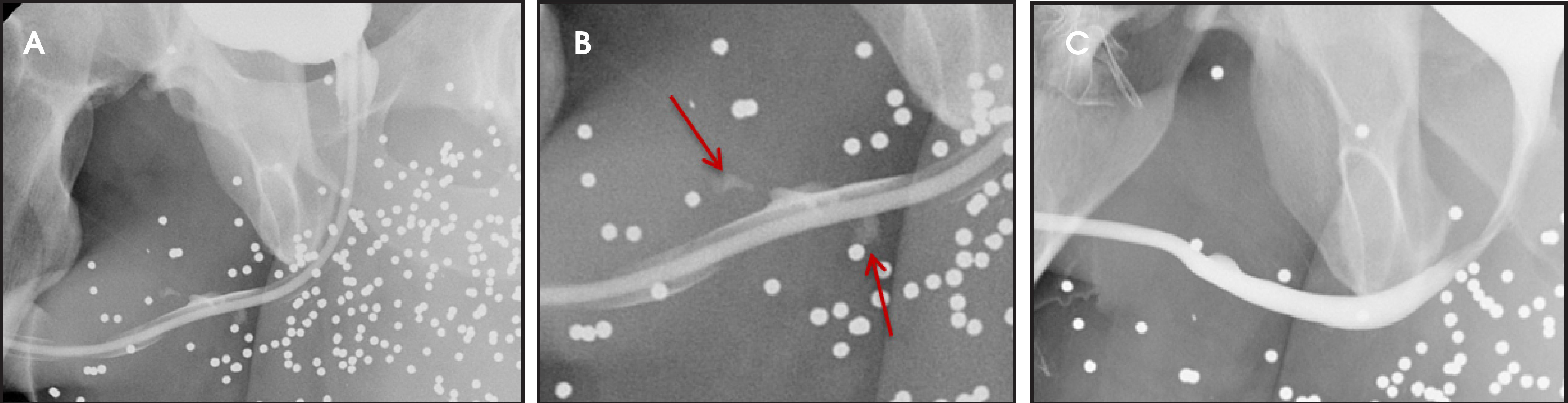 FIGURE 6.