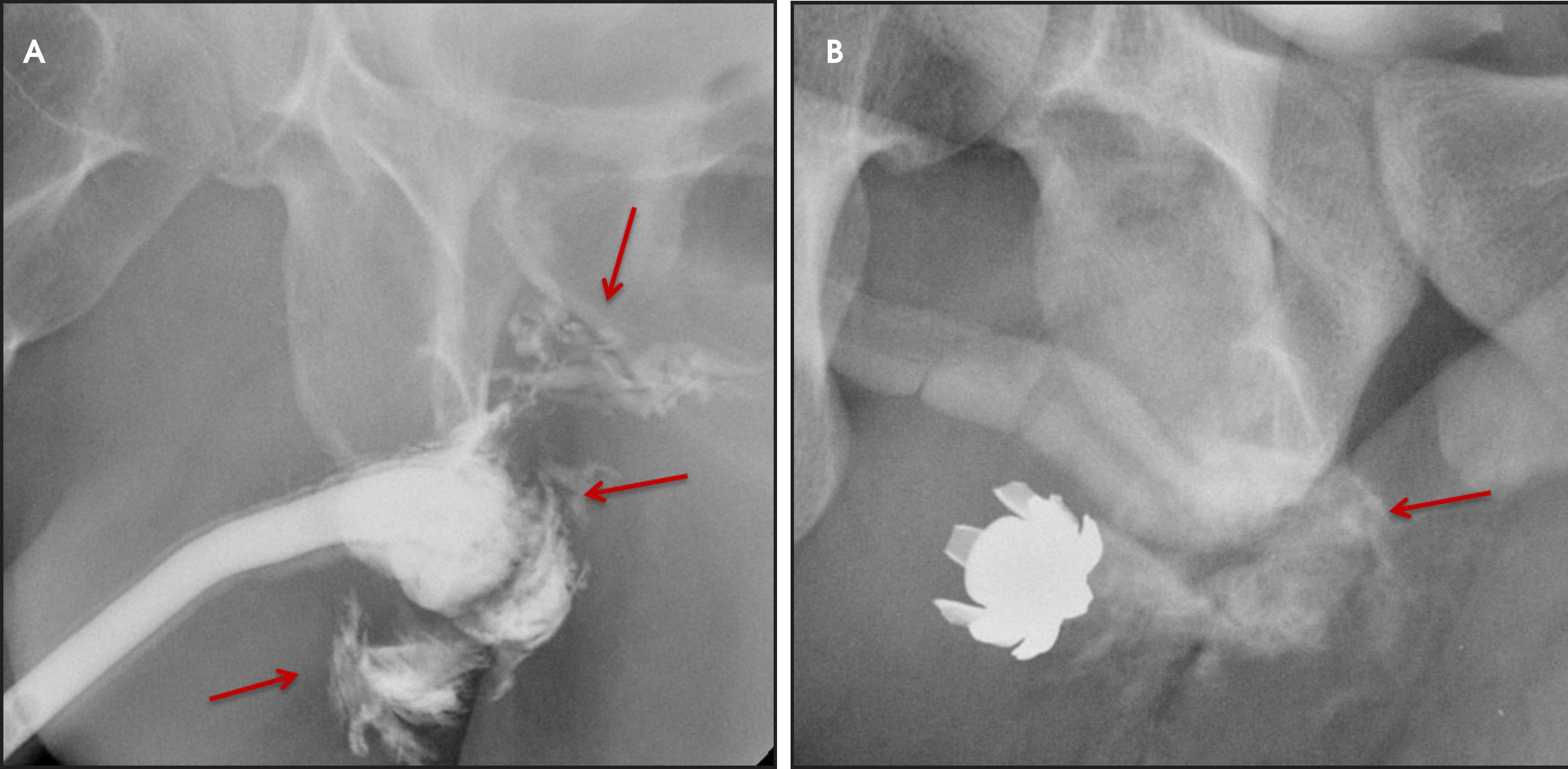 FIGURE 7.