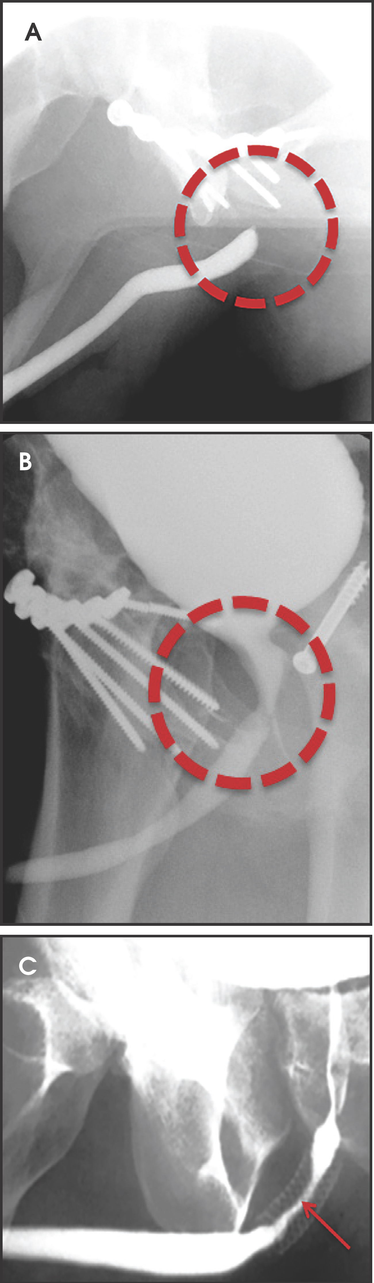 FIGURE 9.