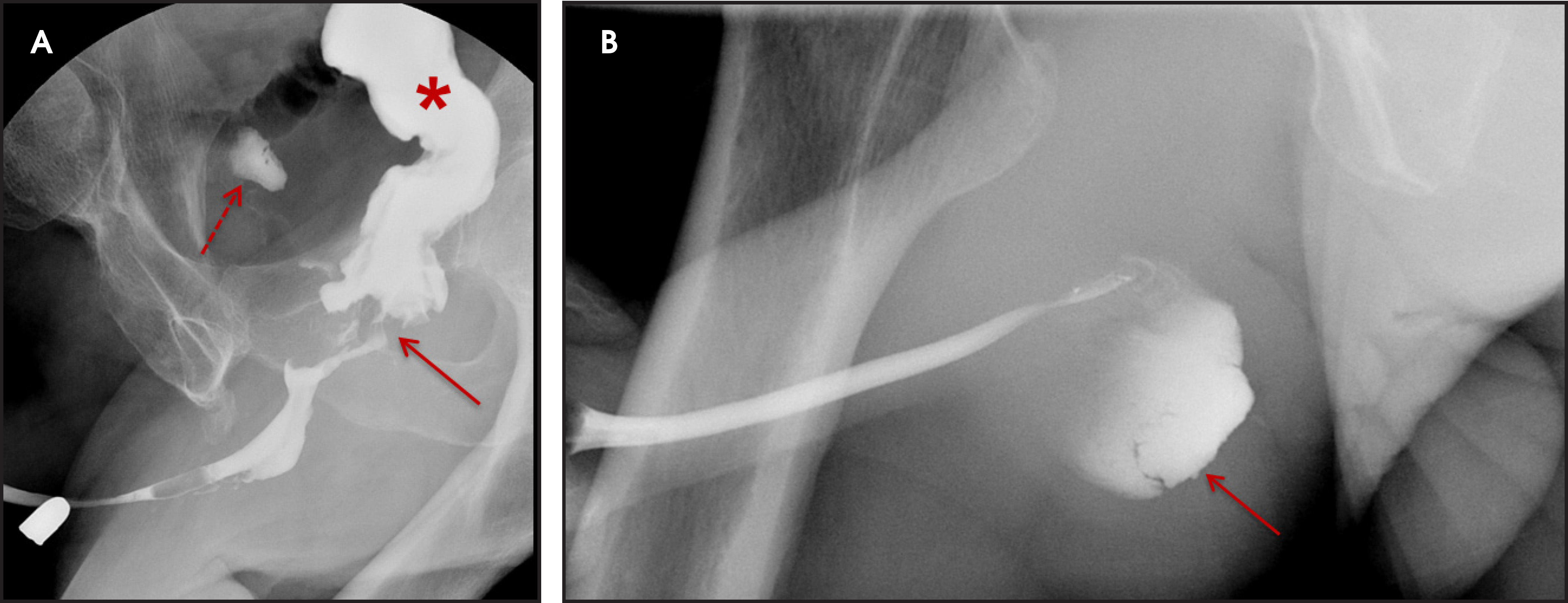 FIGURE 10.