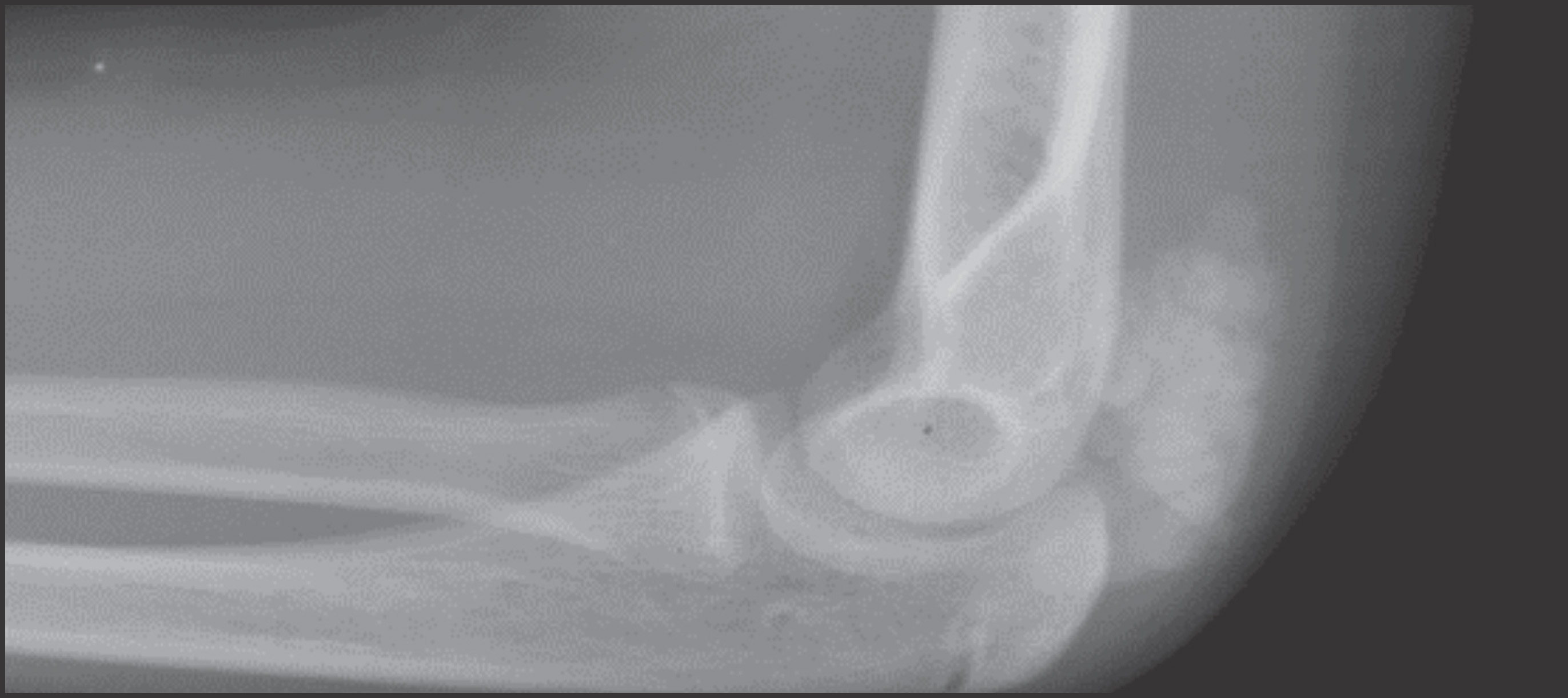 FIGURE 1.