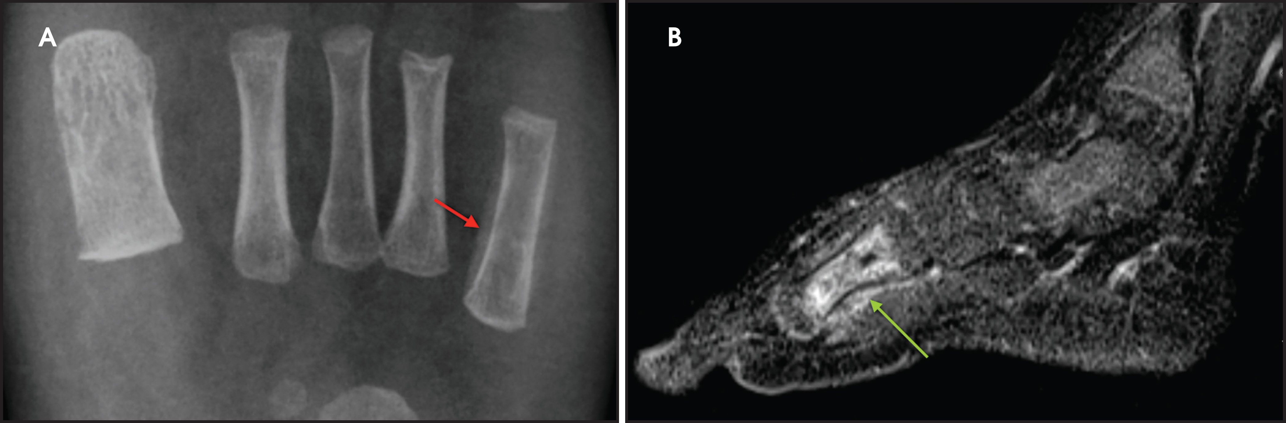 FIGURE 4.