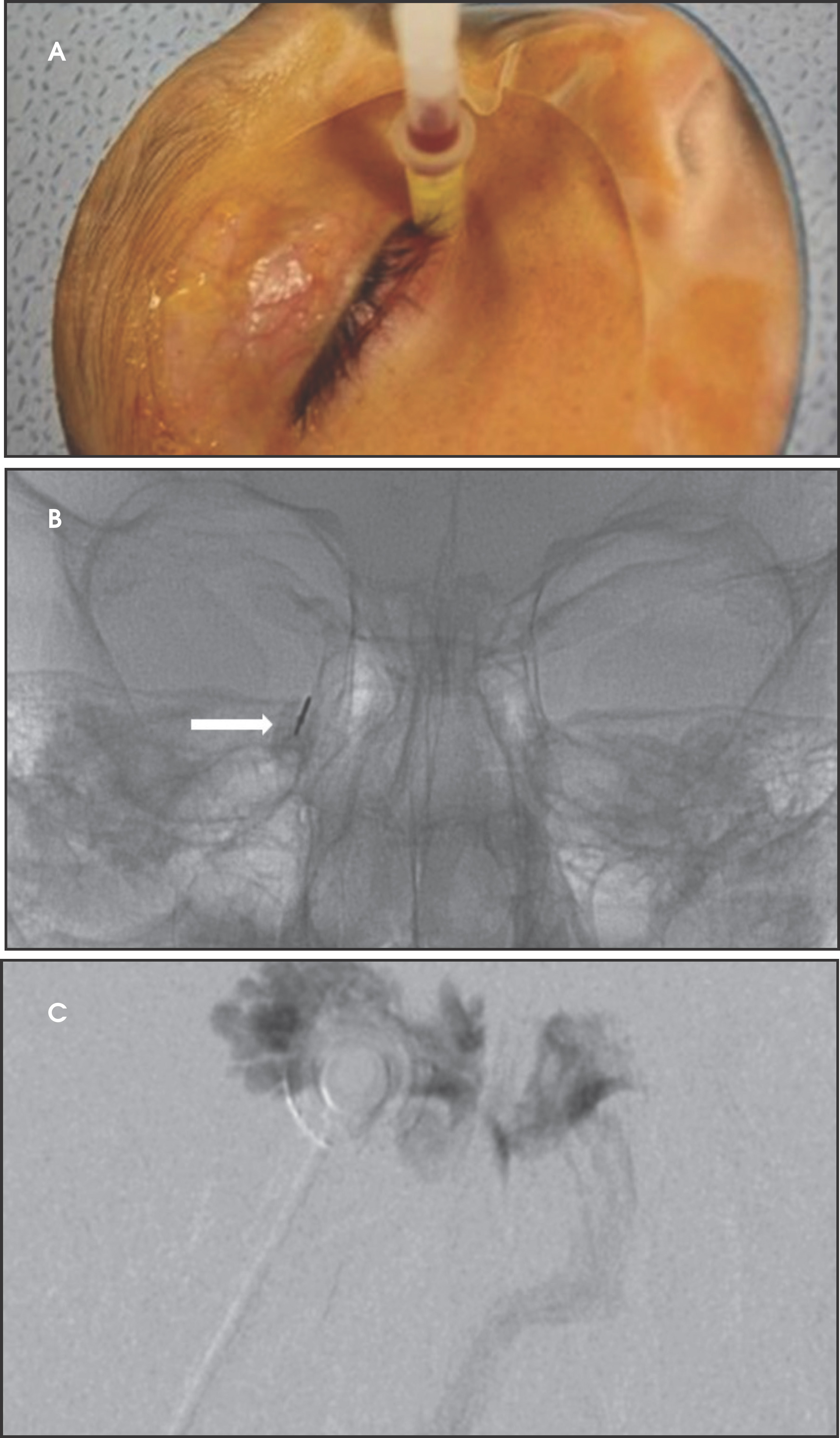 FIGURE 2.