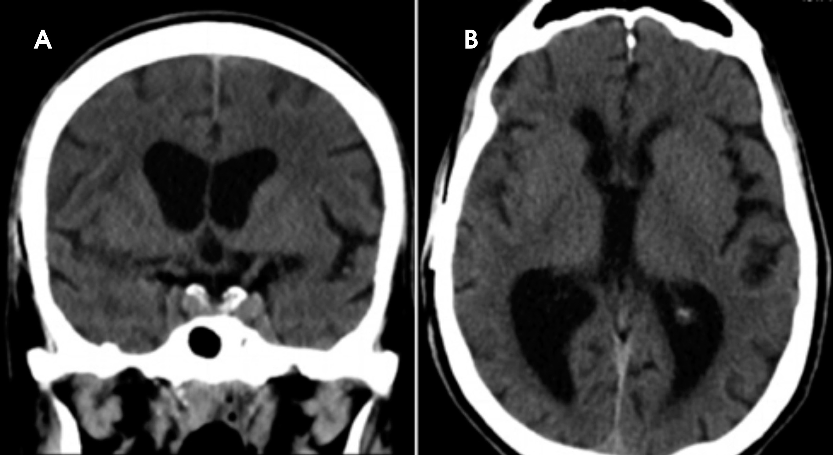 FIGURE 3.