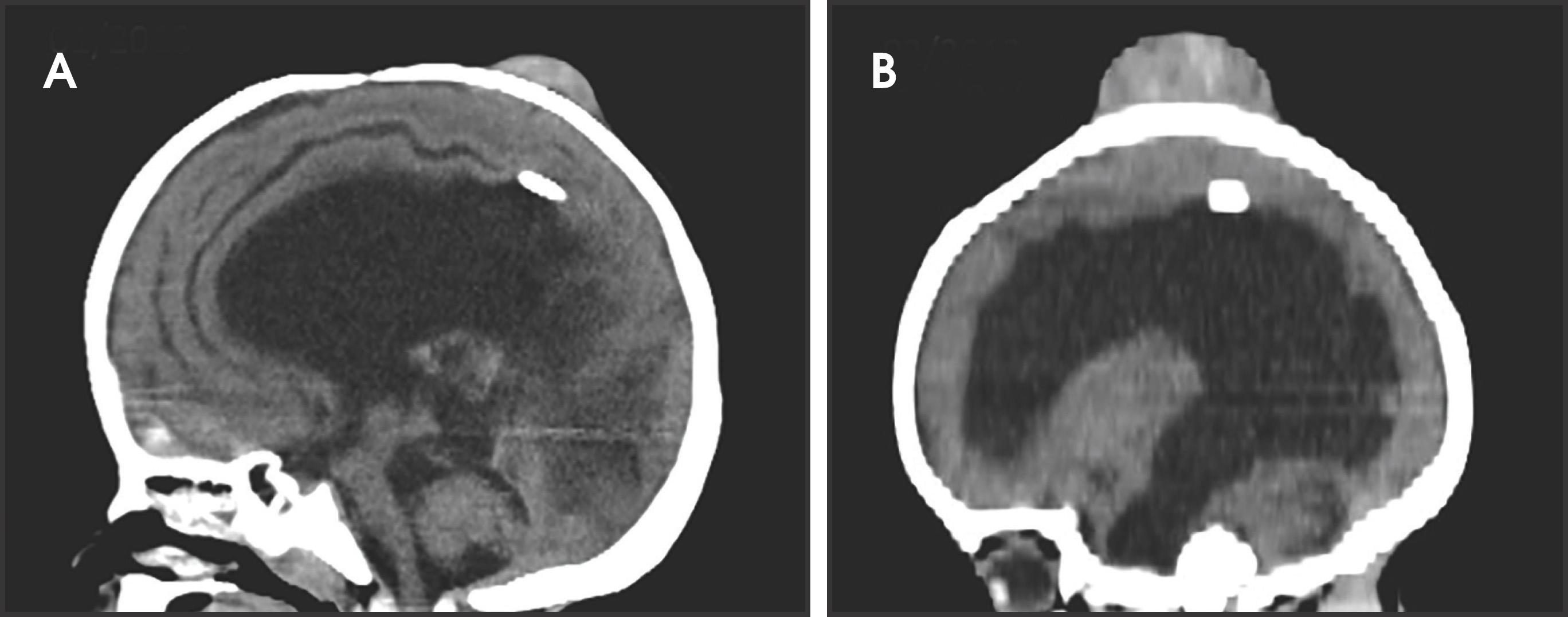 FIGURE 1.