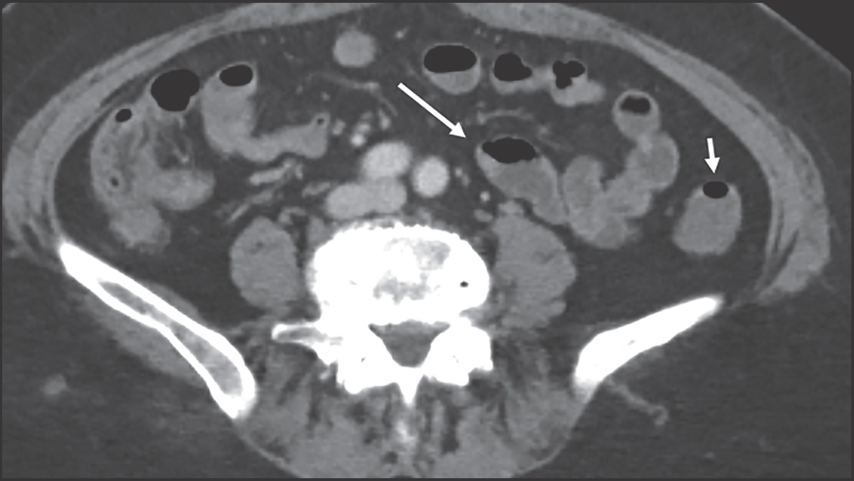 FIGURE 1.