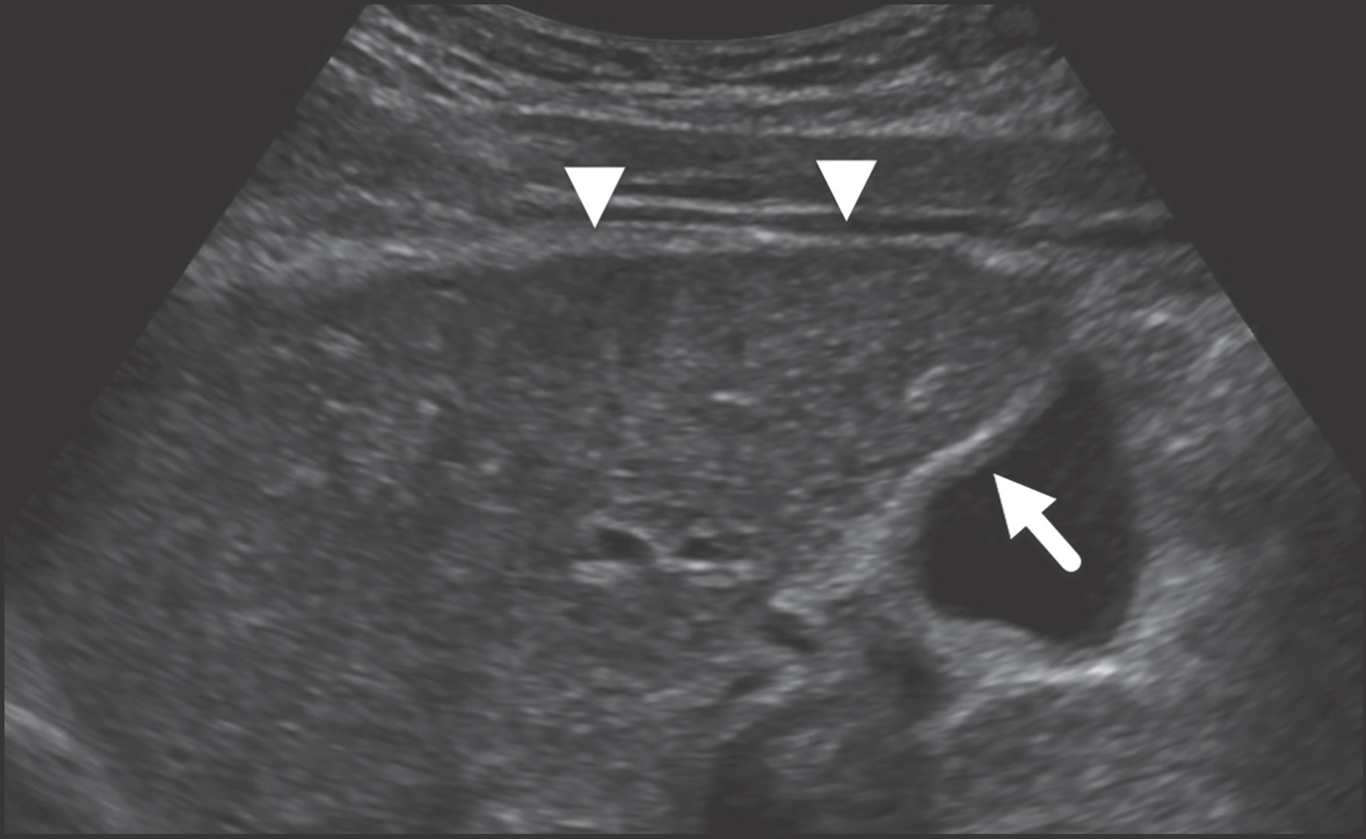 FIGURE 1.