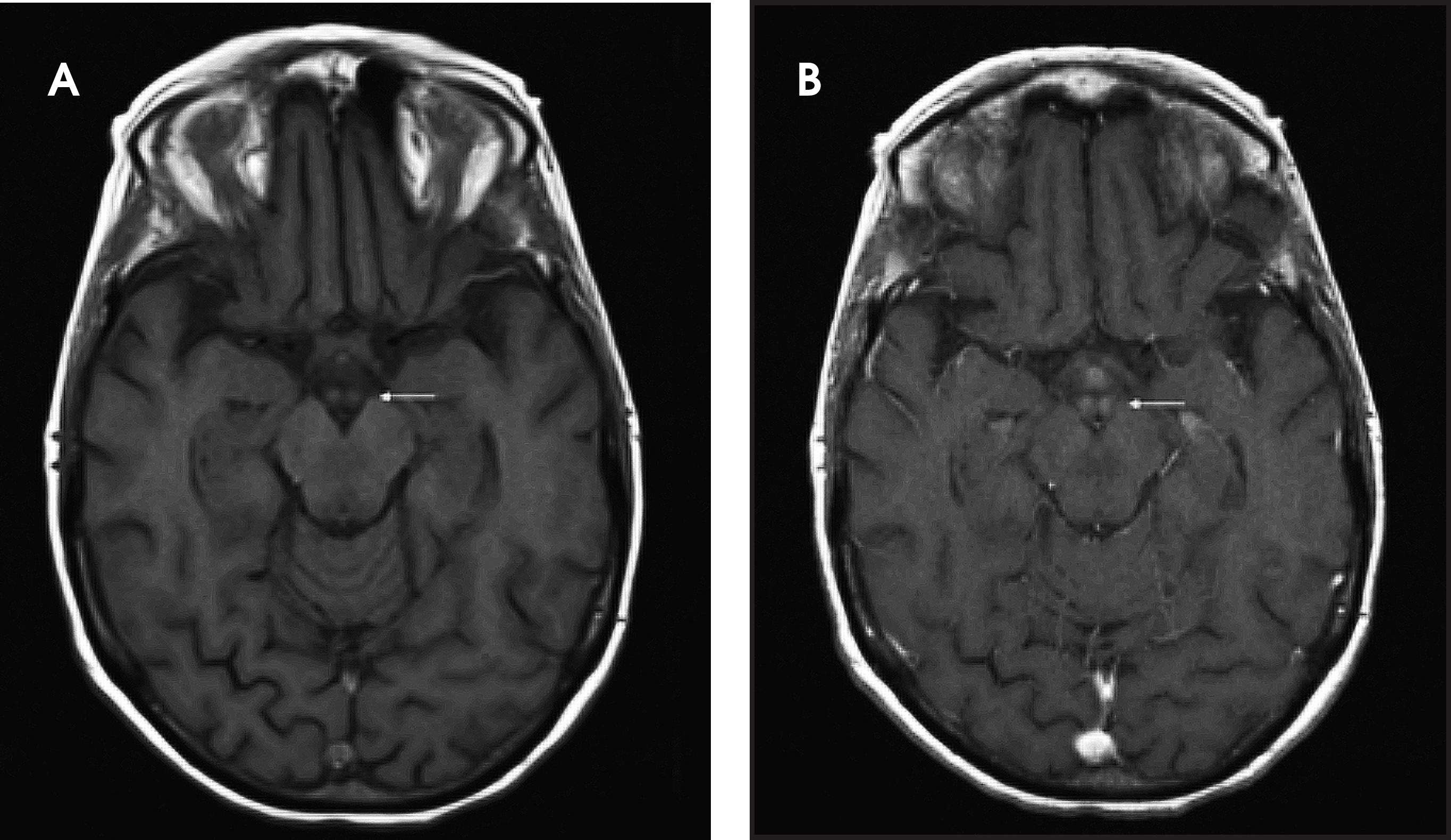 FIGURE 1.
