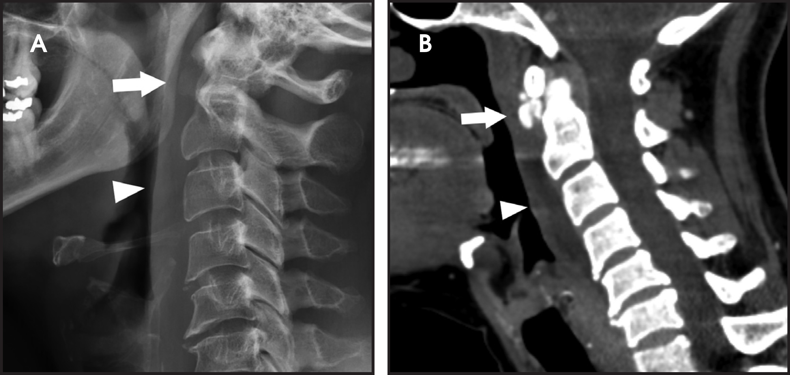 FIGURE 1.