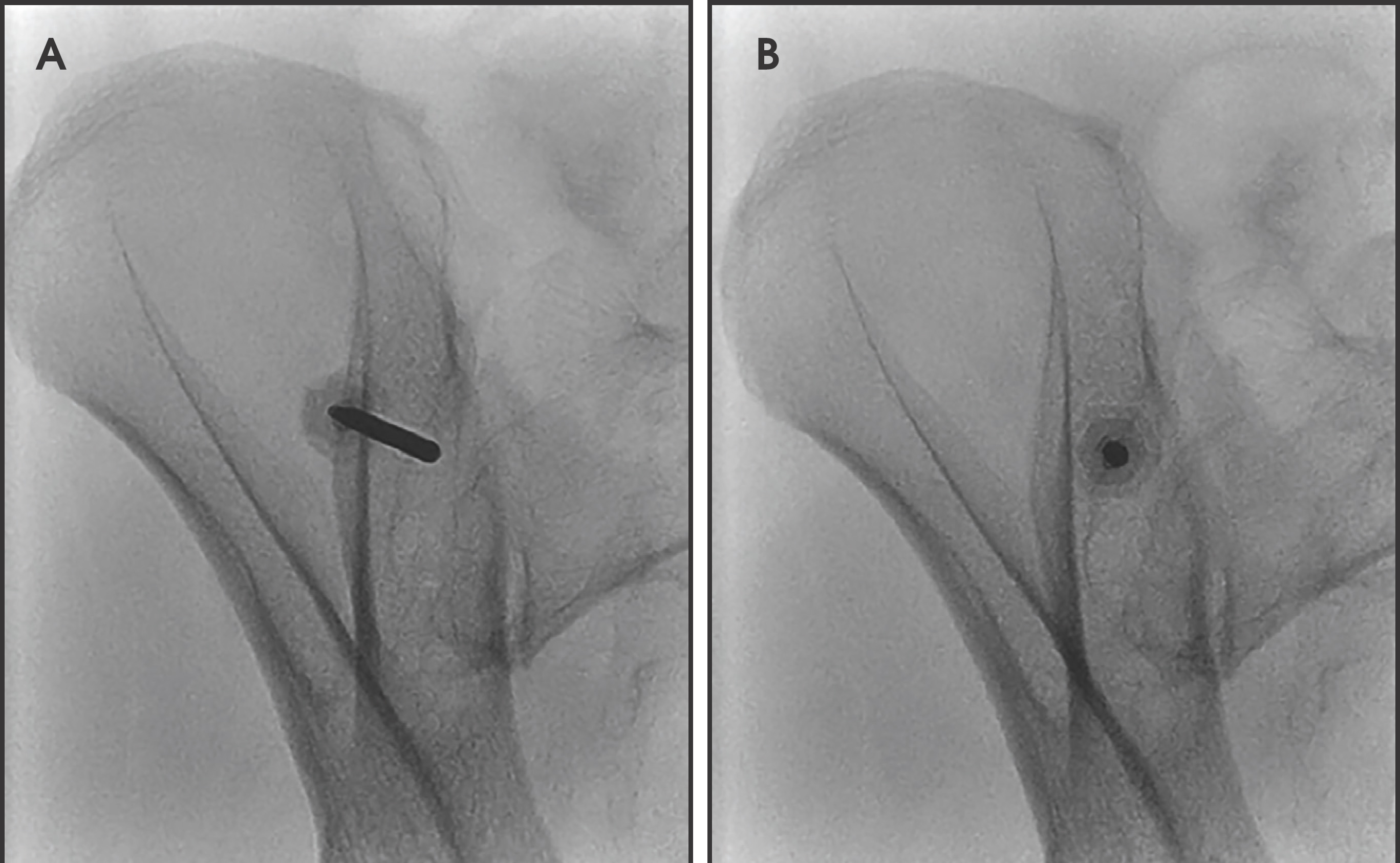 FIGURE 10.