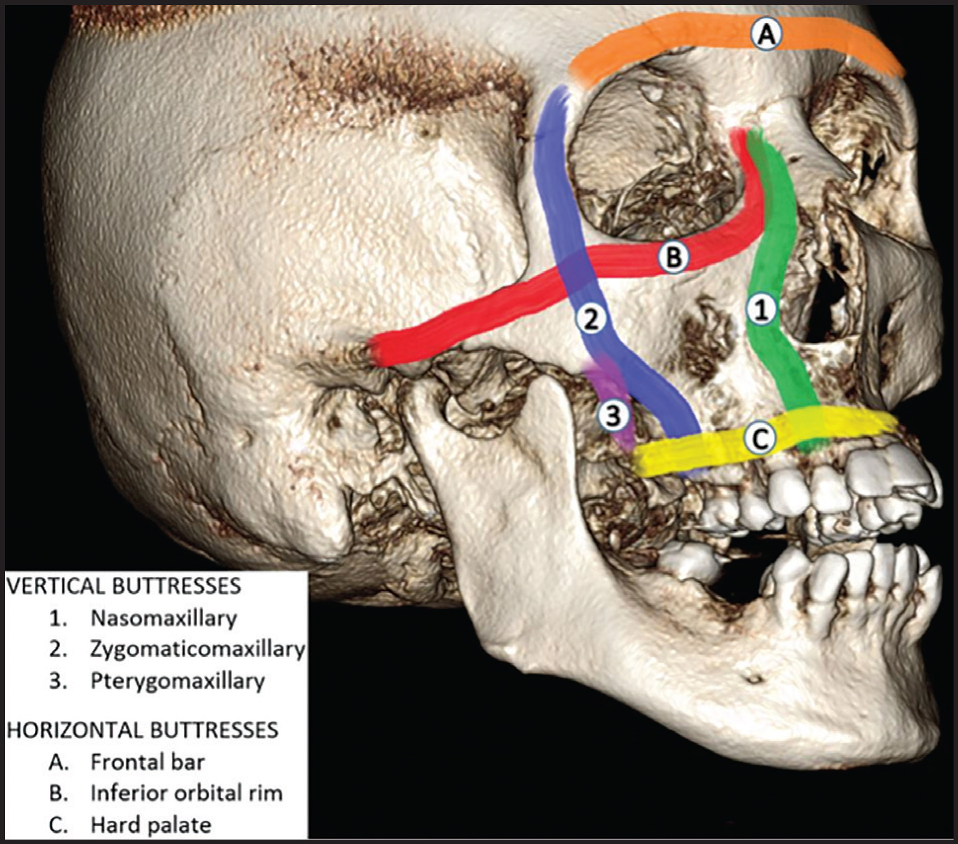 FIGURE 1.