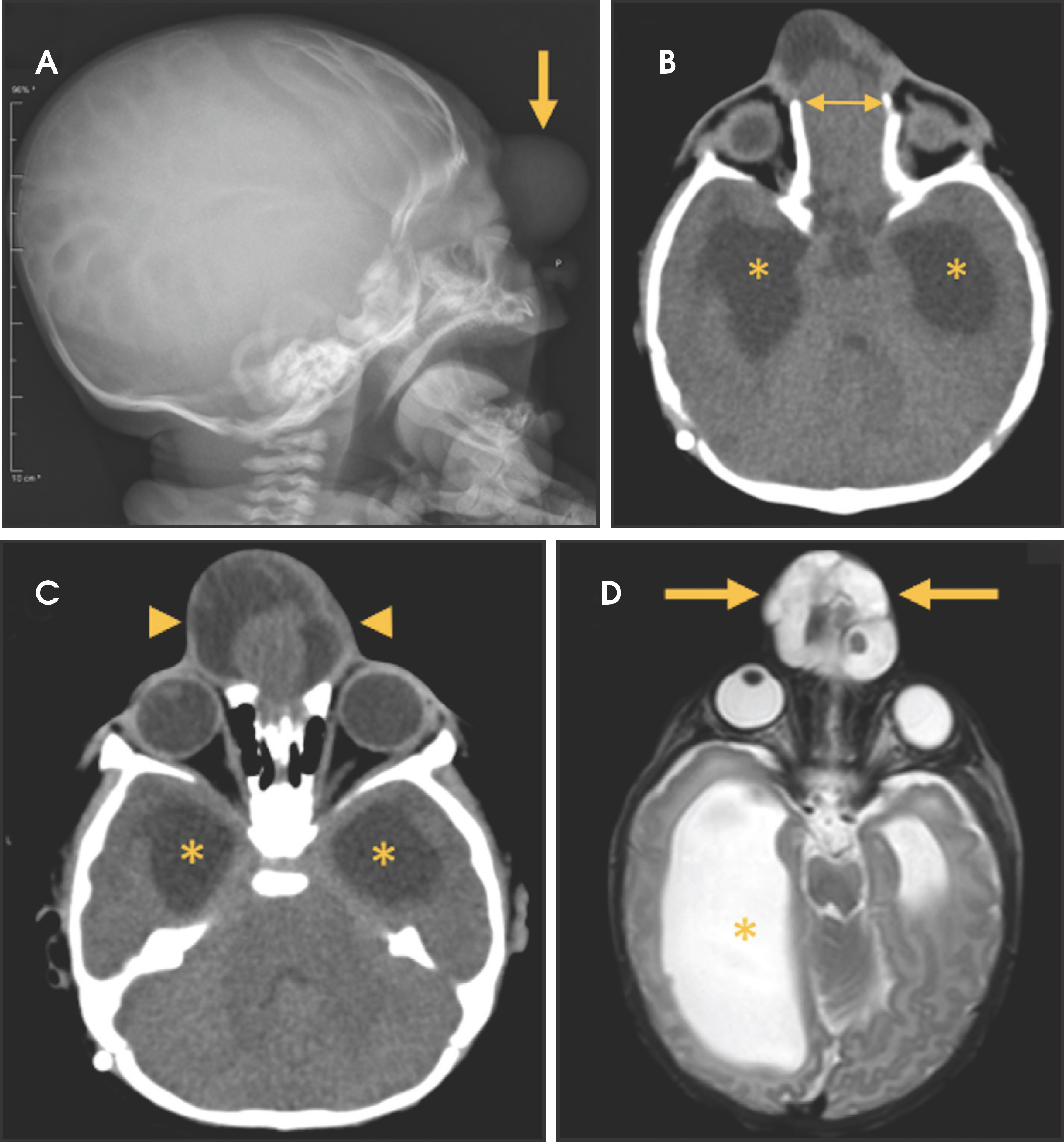 FIGURE 6.
