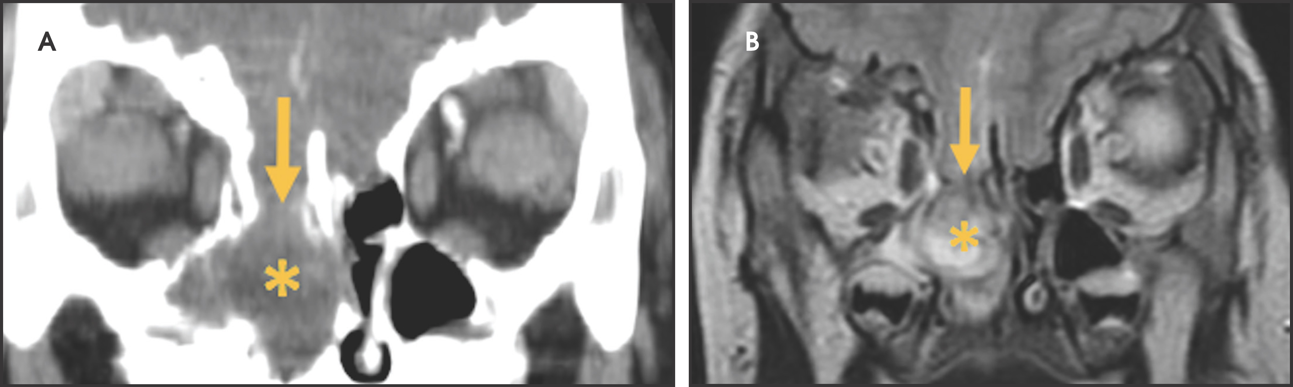 FIGURE 7.