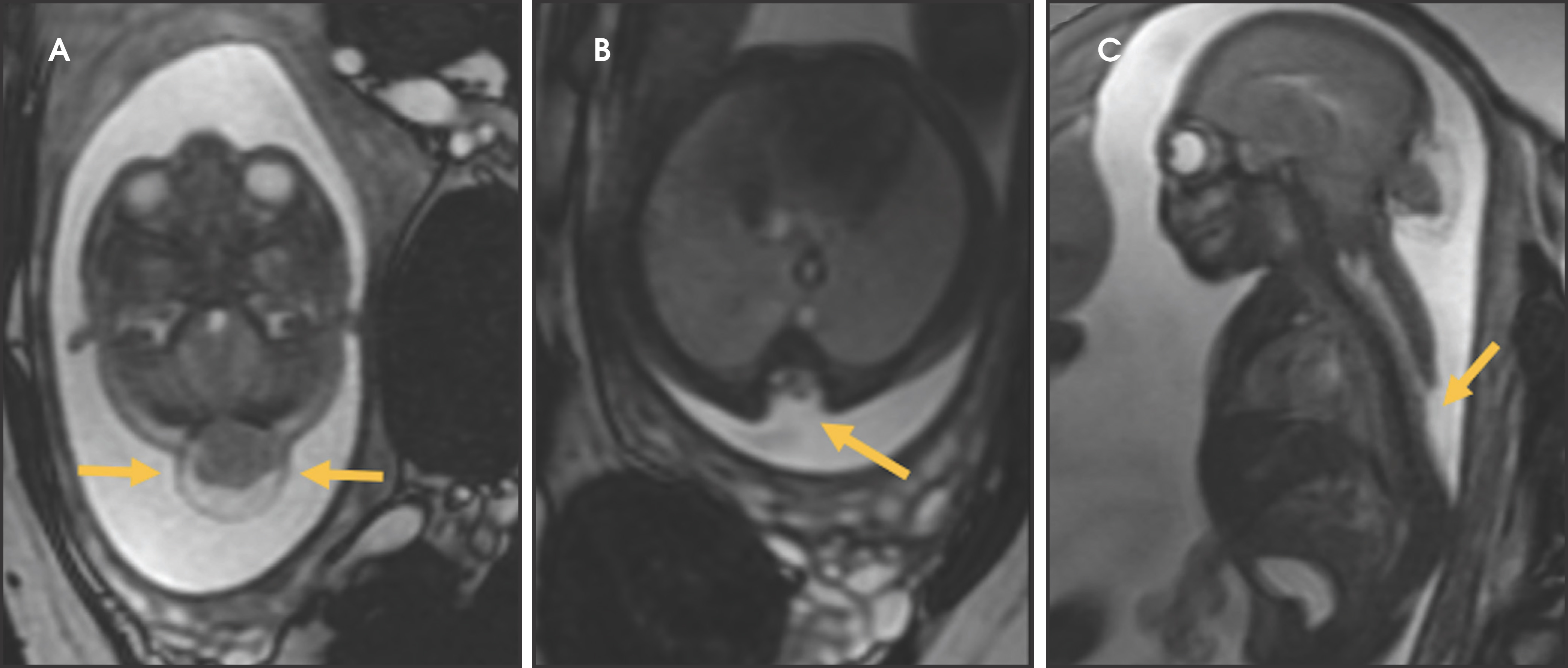FIGURE 9.