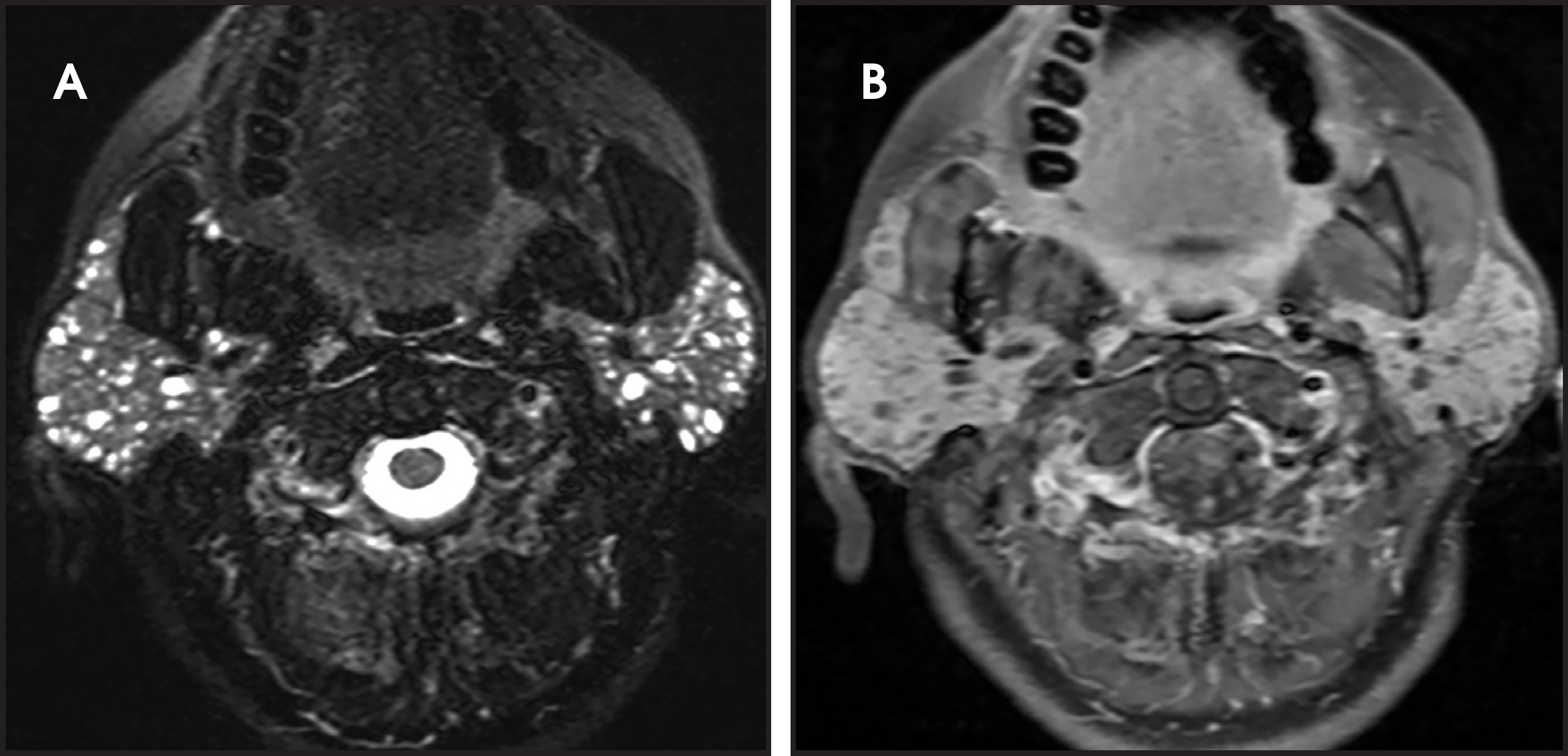 FIGURE 12.